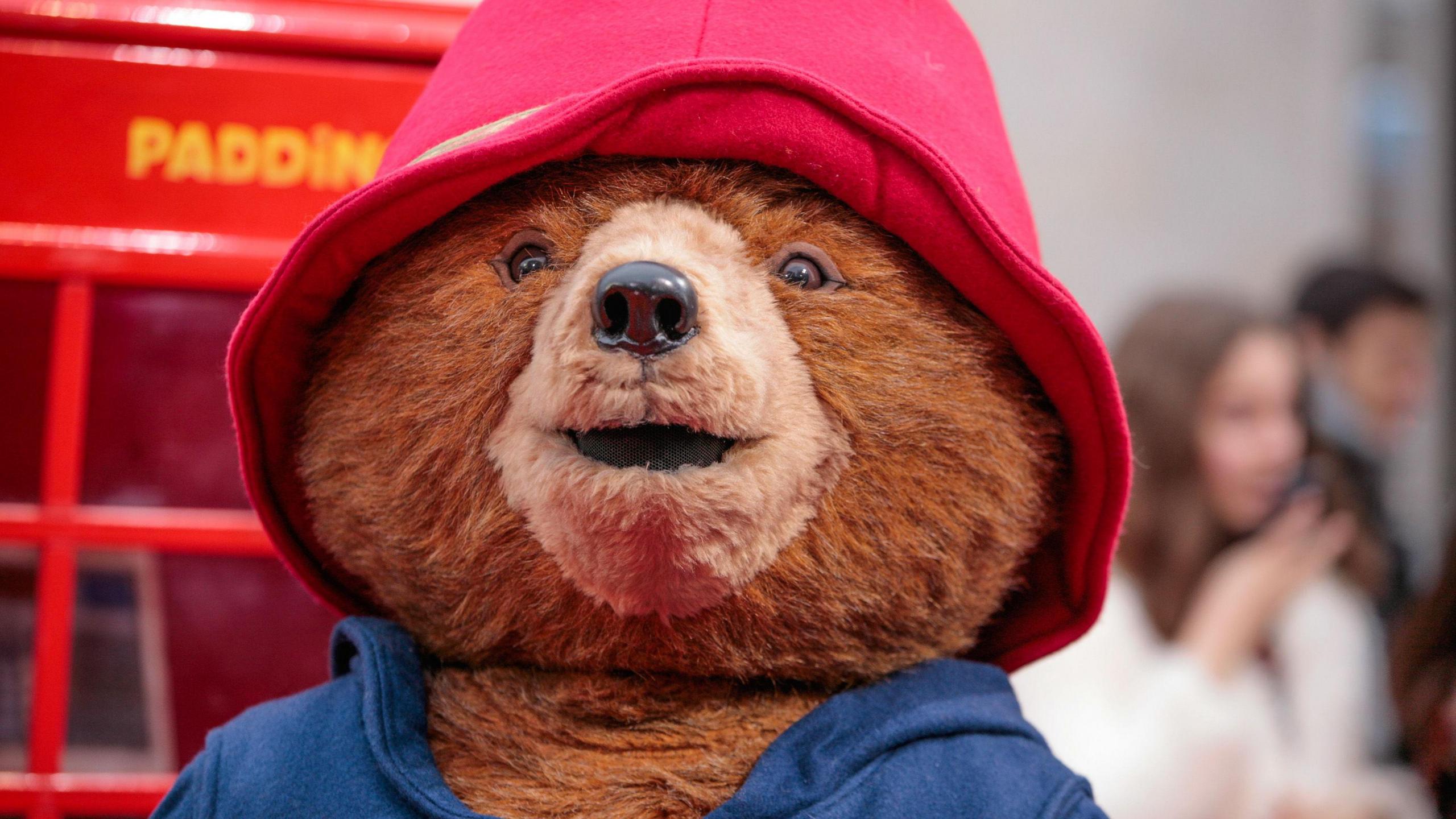 Paddington Bear issued with official British passport