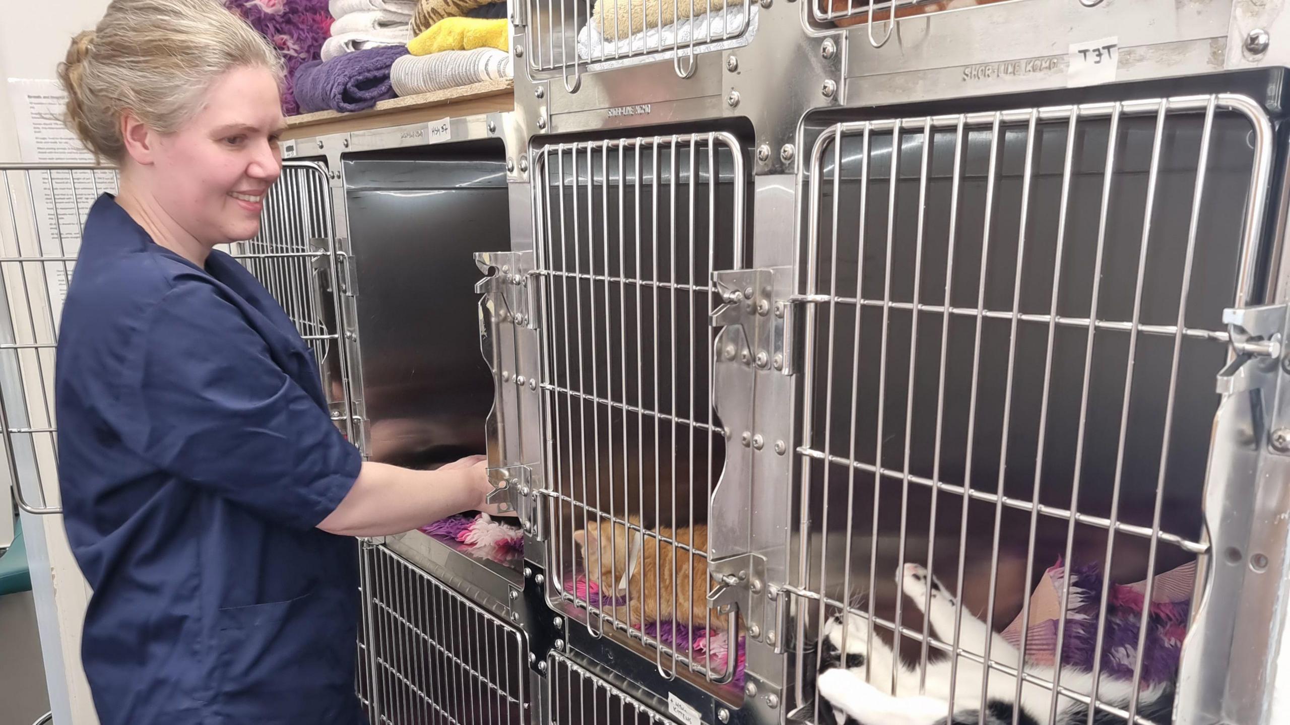 An RSPCA staff member is standing in front of rows of cat cages in the cattery
