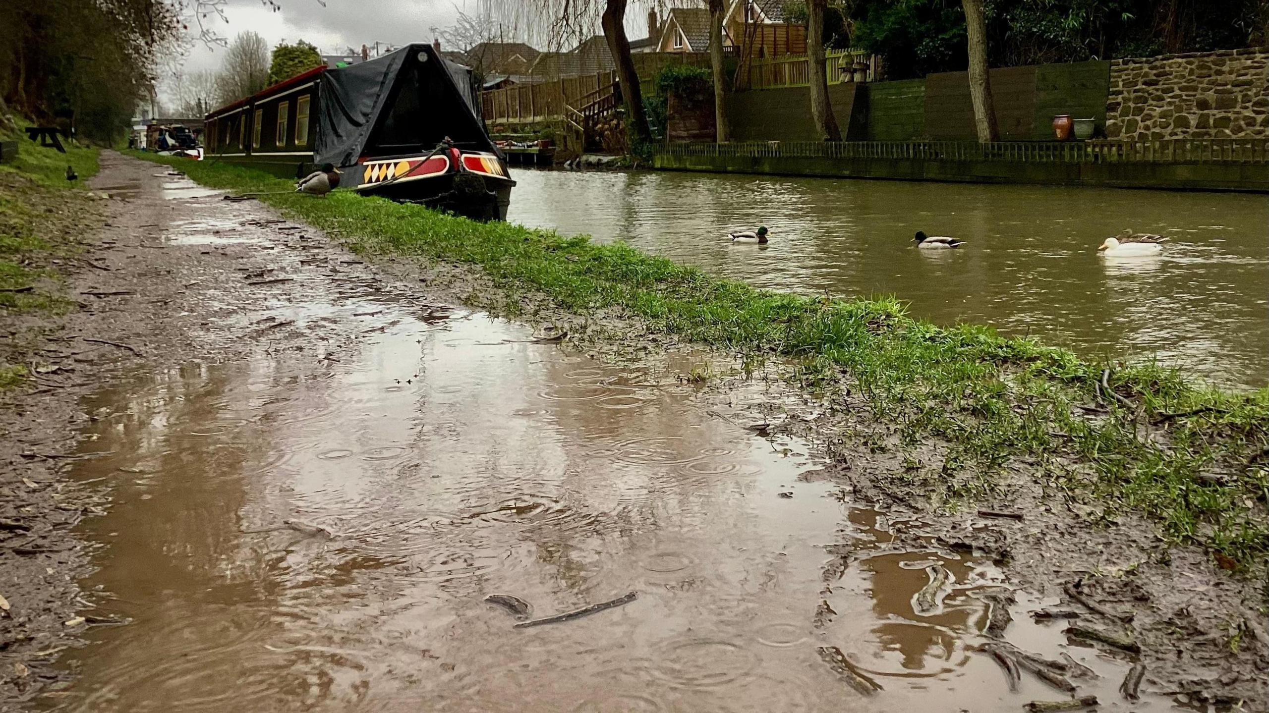 Puddles on a canal tow path