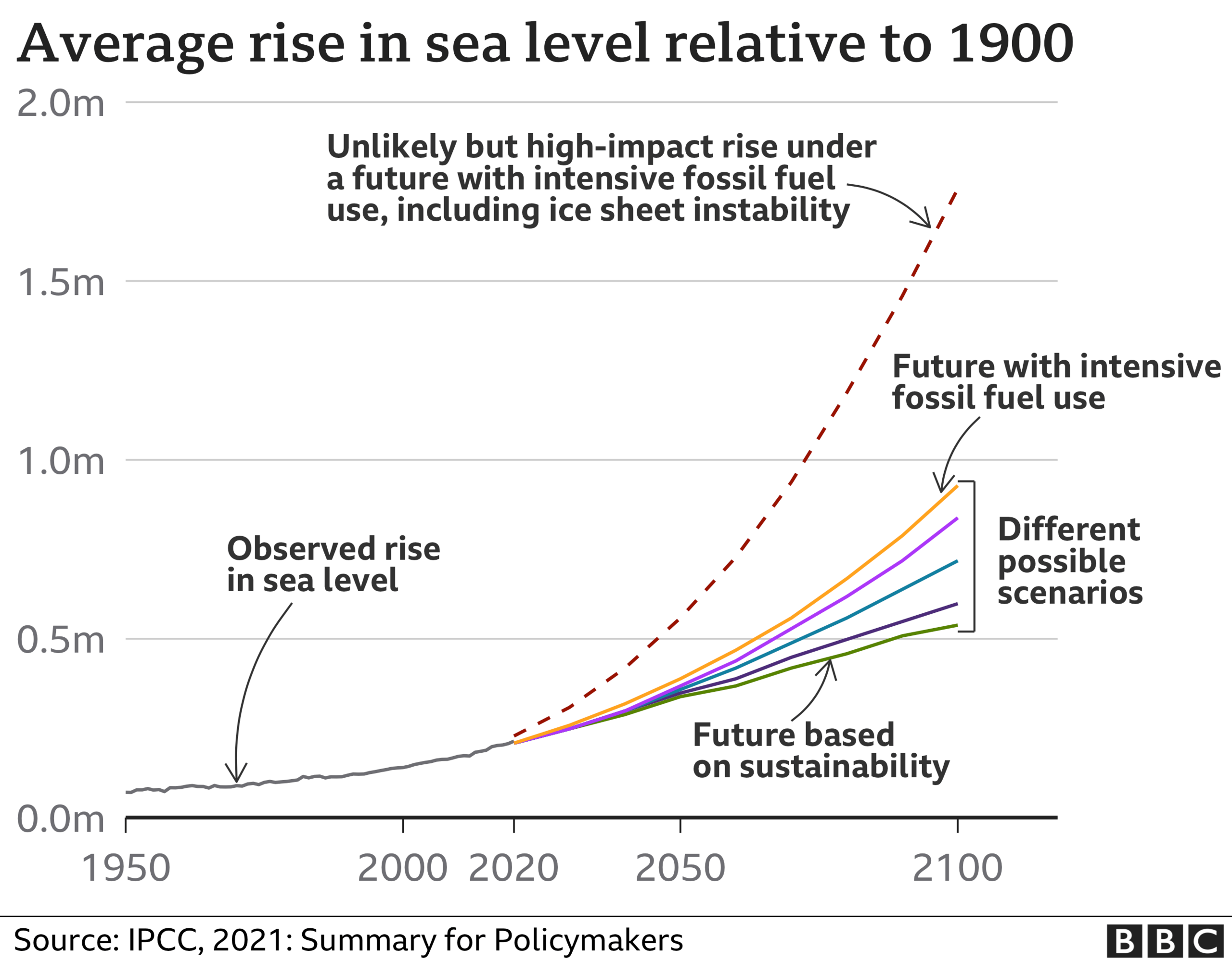 Infographic