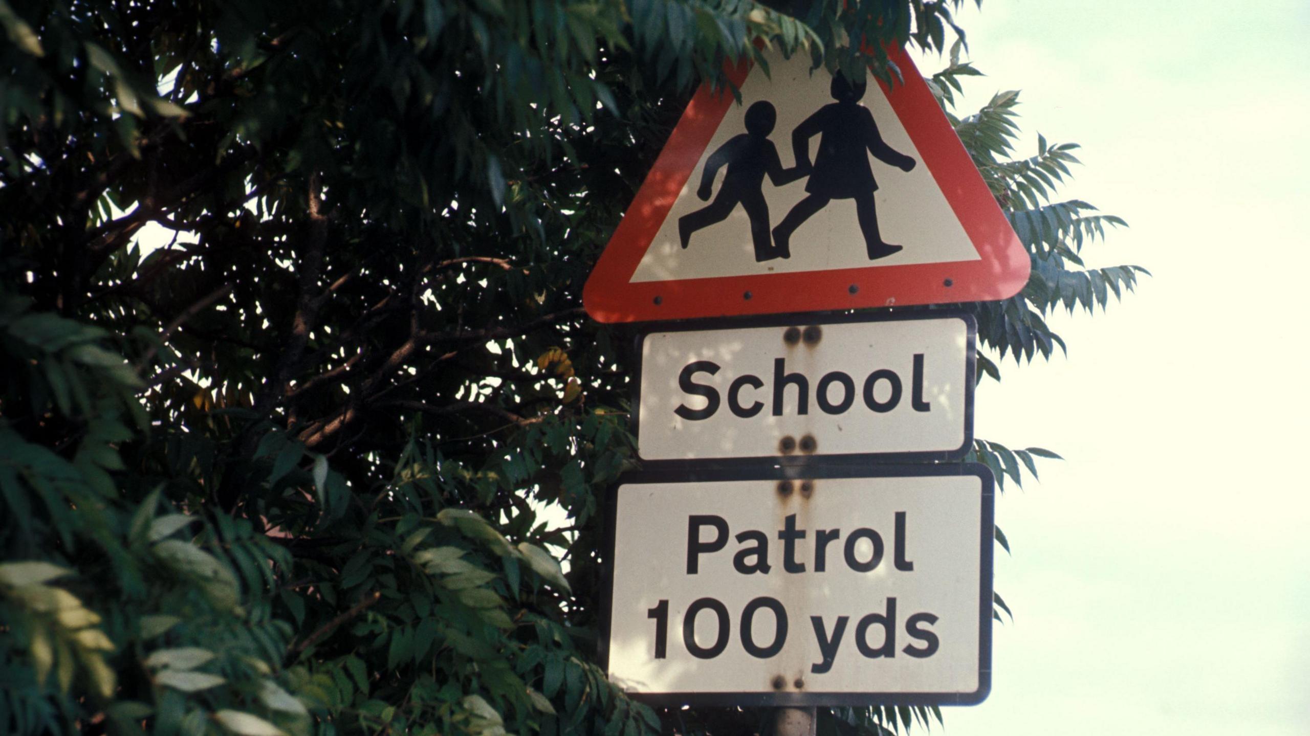 A school sign surrounded by the branches of a tree