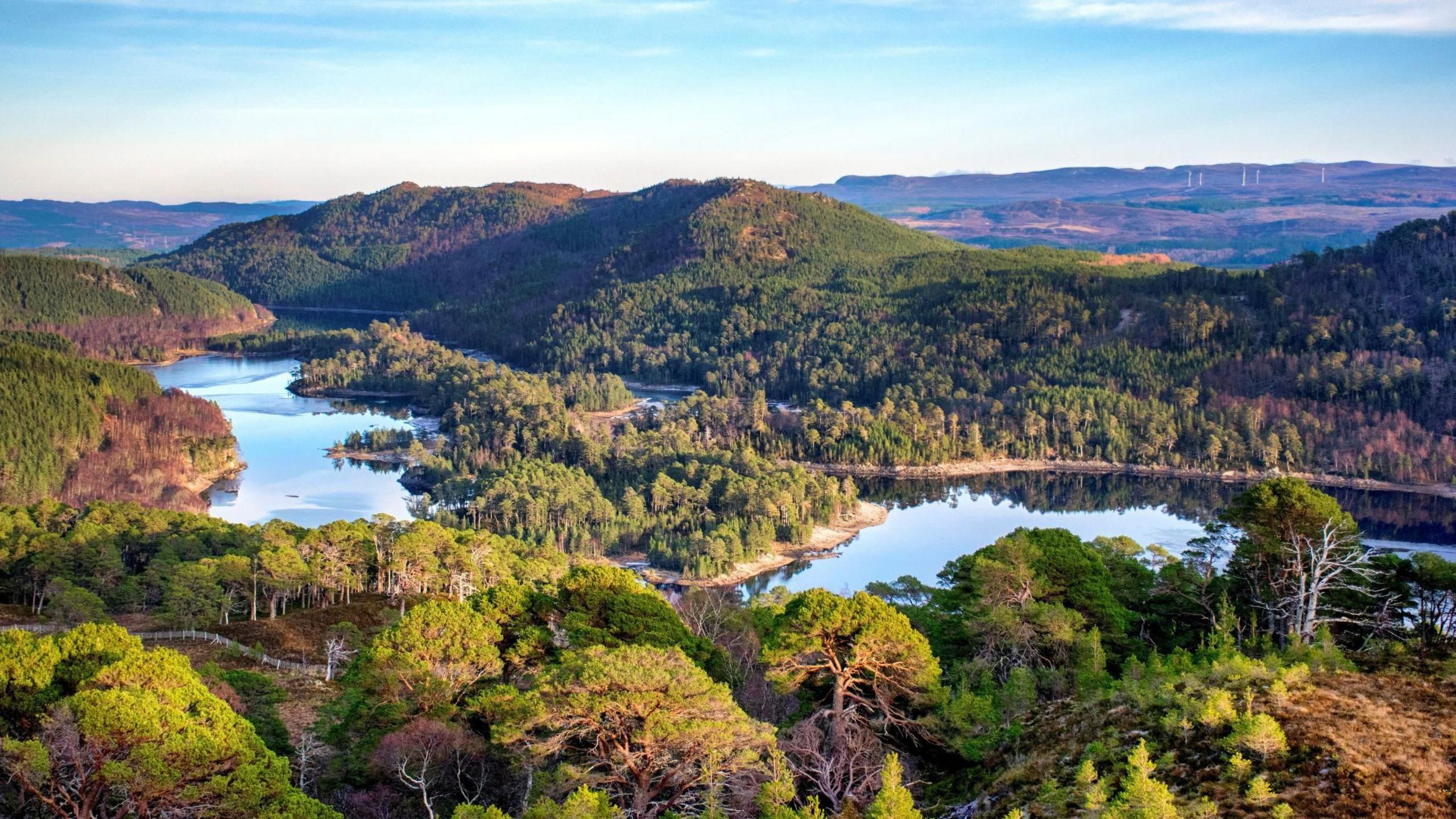 An aerial view of Glen Affric showing a landscape of lochs, hills and trees.