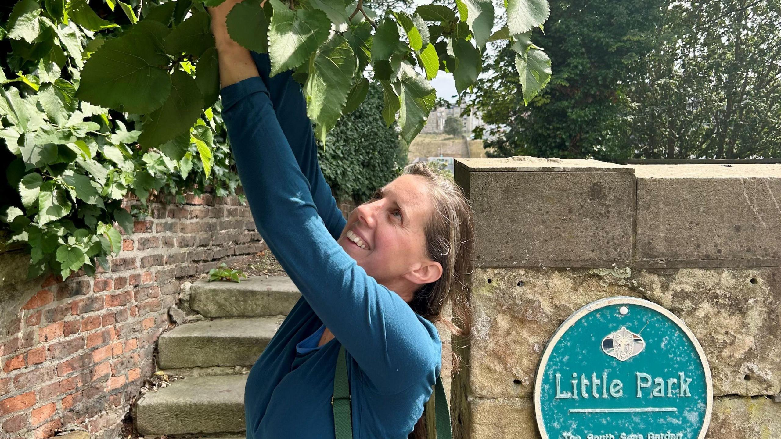 A woman wearing a blue top reaches for some leaves from a tree. There is a sign which reads 'little park' to her right.
