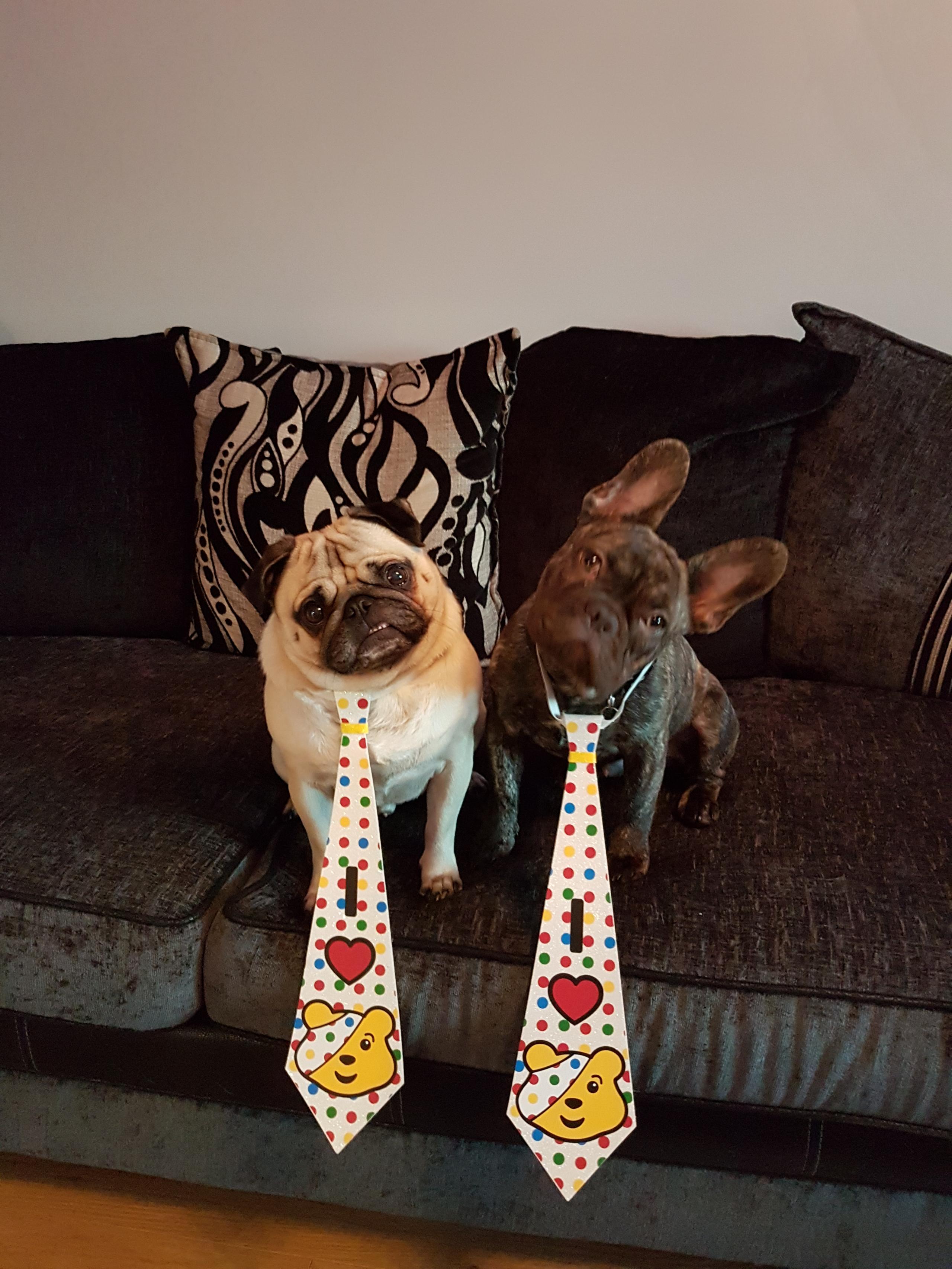 Dogs in ties