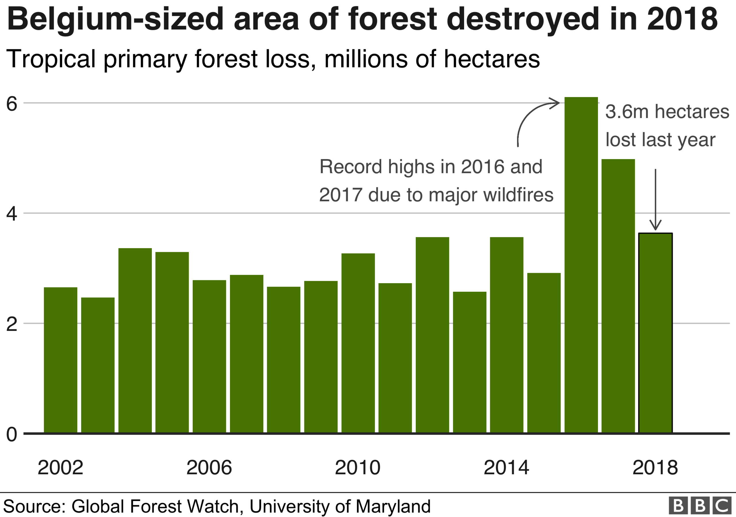 Deforestation