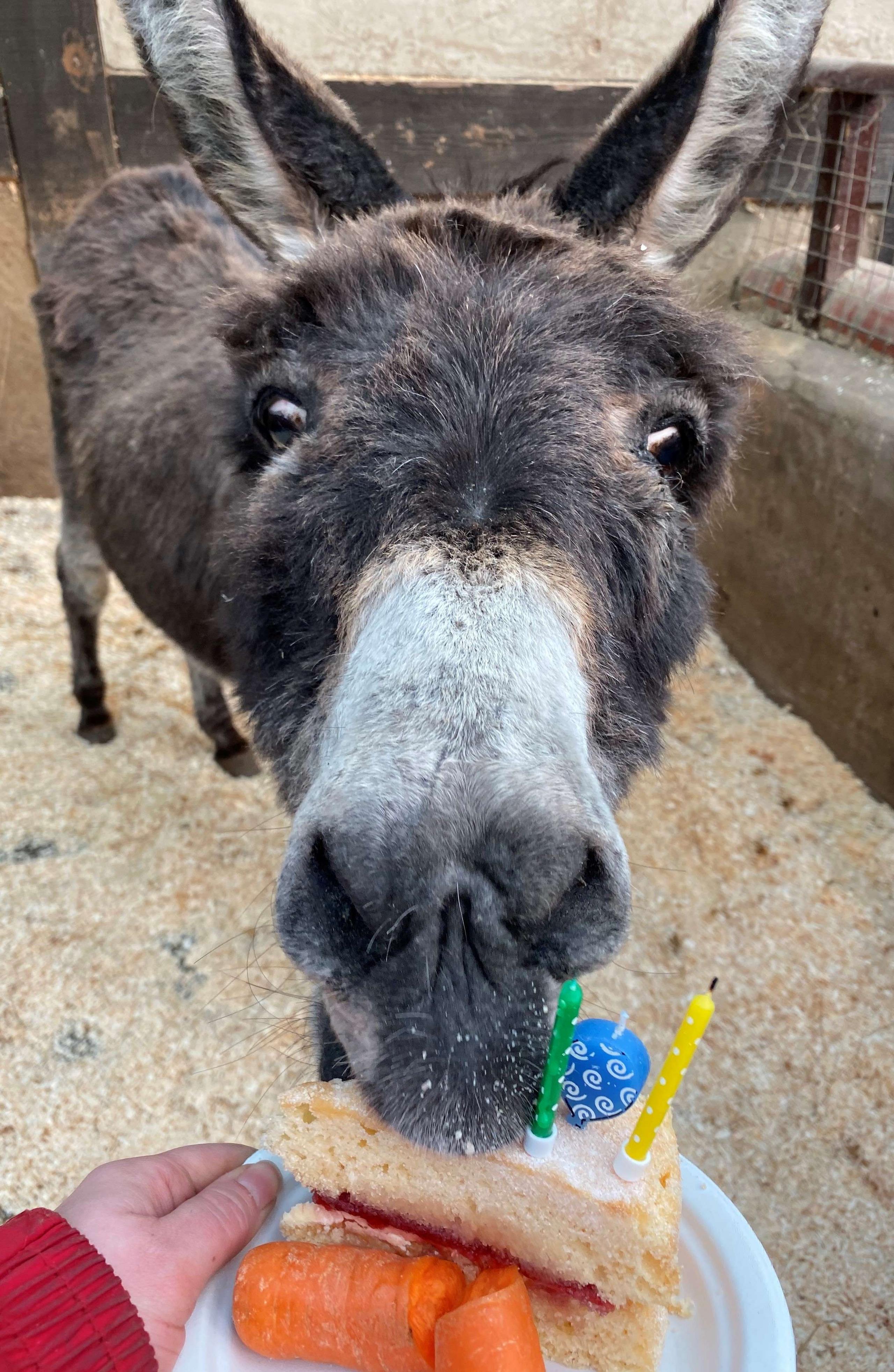 Bubbles with birthday cake