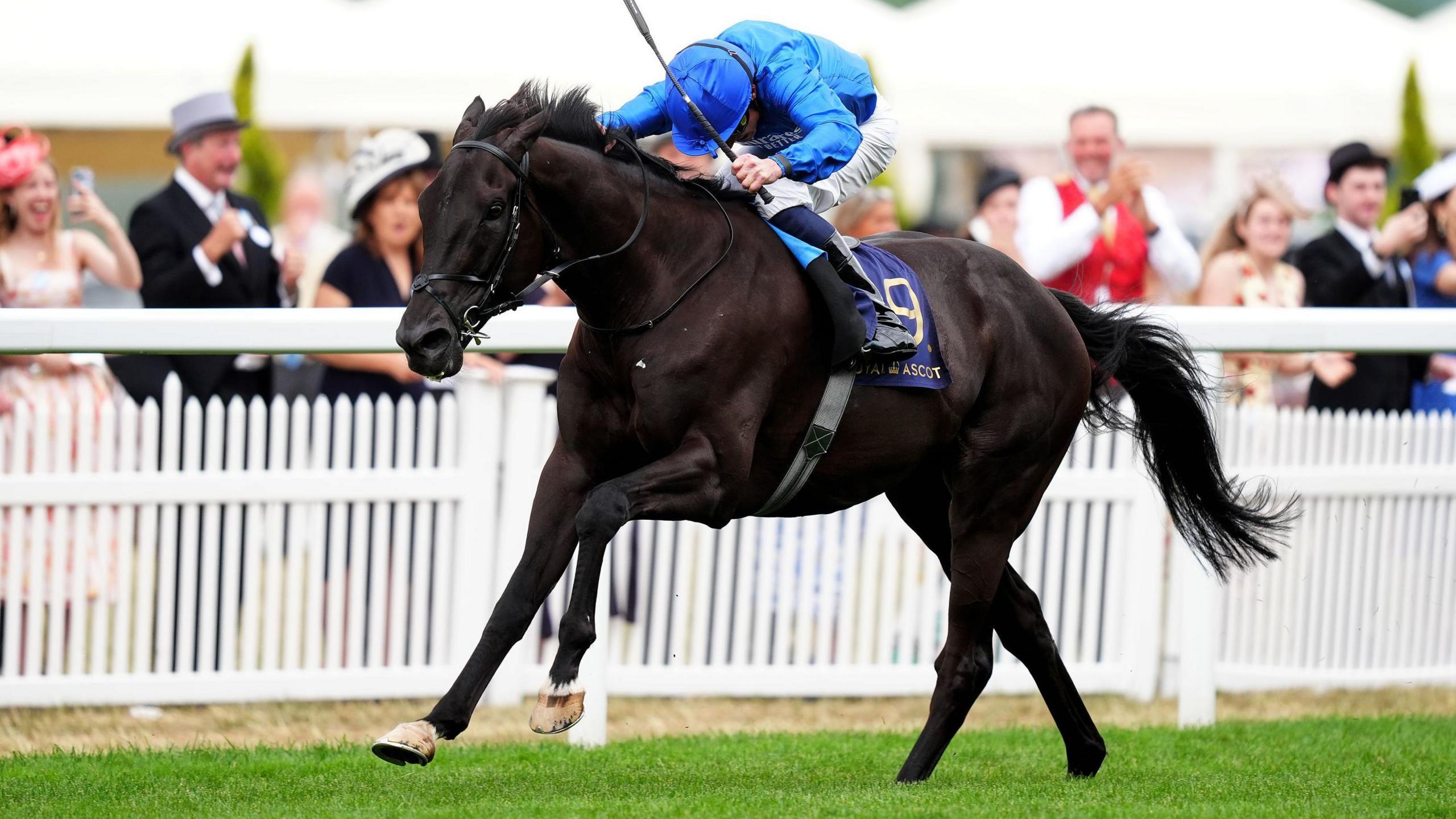 Rebel's Romance wins at Royal Ascot