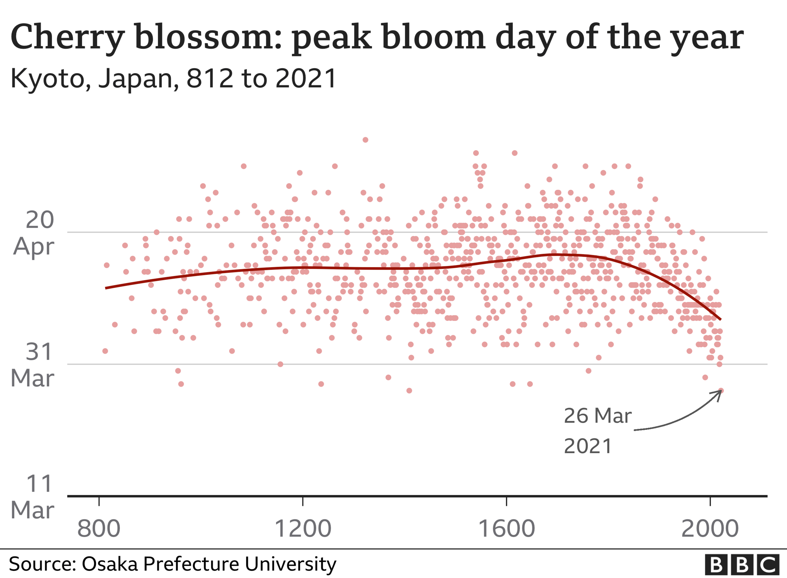 Graphic of peak cherry blossom day in Kyoto from 812 to 2021