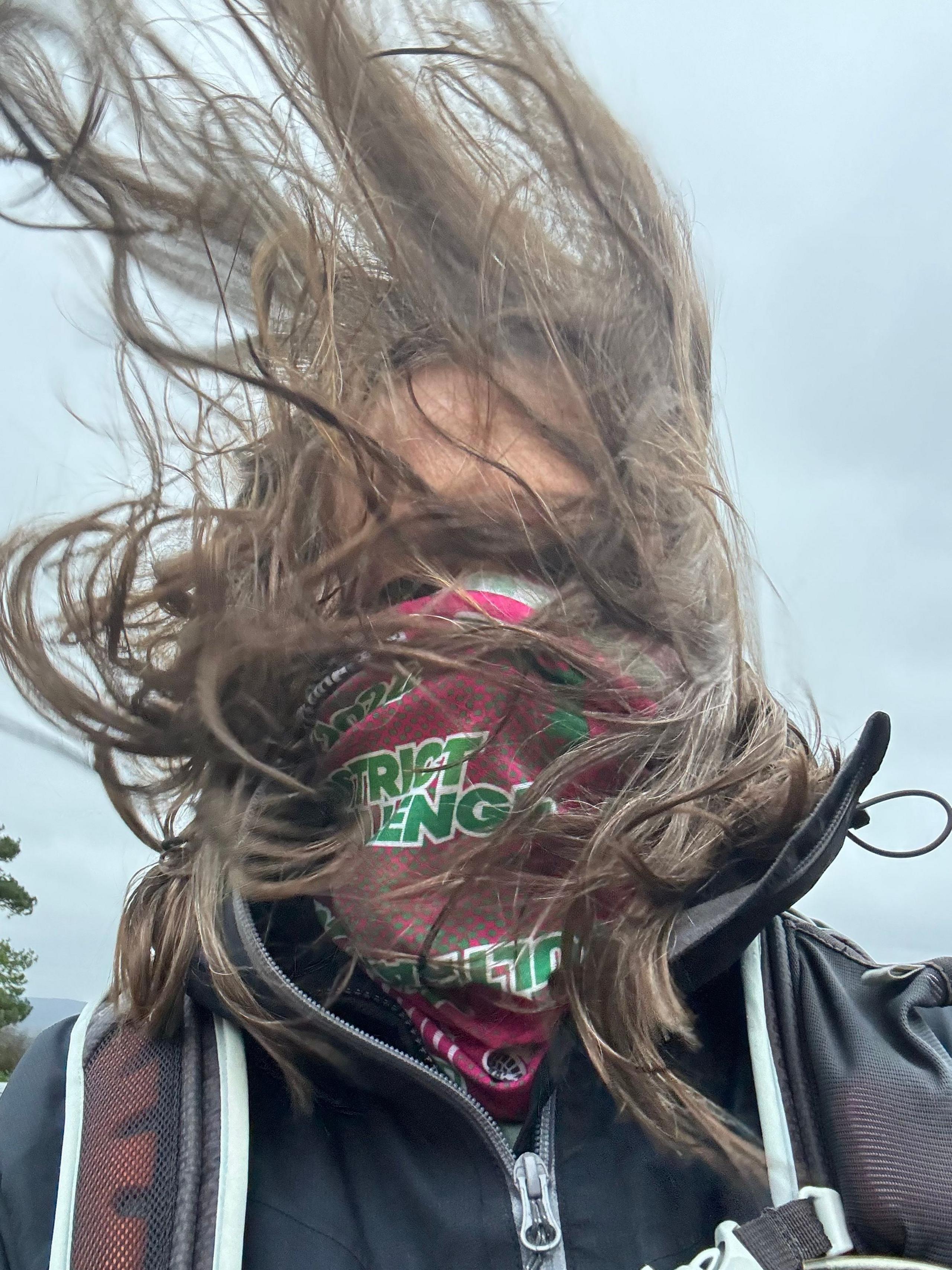 A woman's hair blowing in front of her face