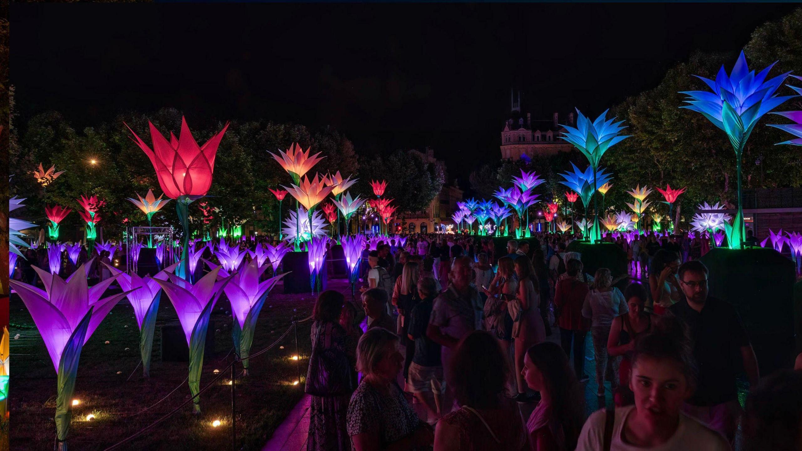 Elysium Garden, one of the installations at Durham Lumiere 2025. It is made up of tall flowers with a tulip-like shape, shining in red, blue, purple and orange. A crowd is making its around the artwork.