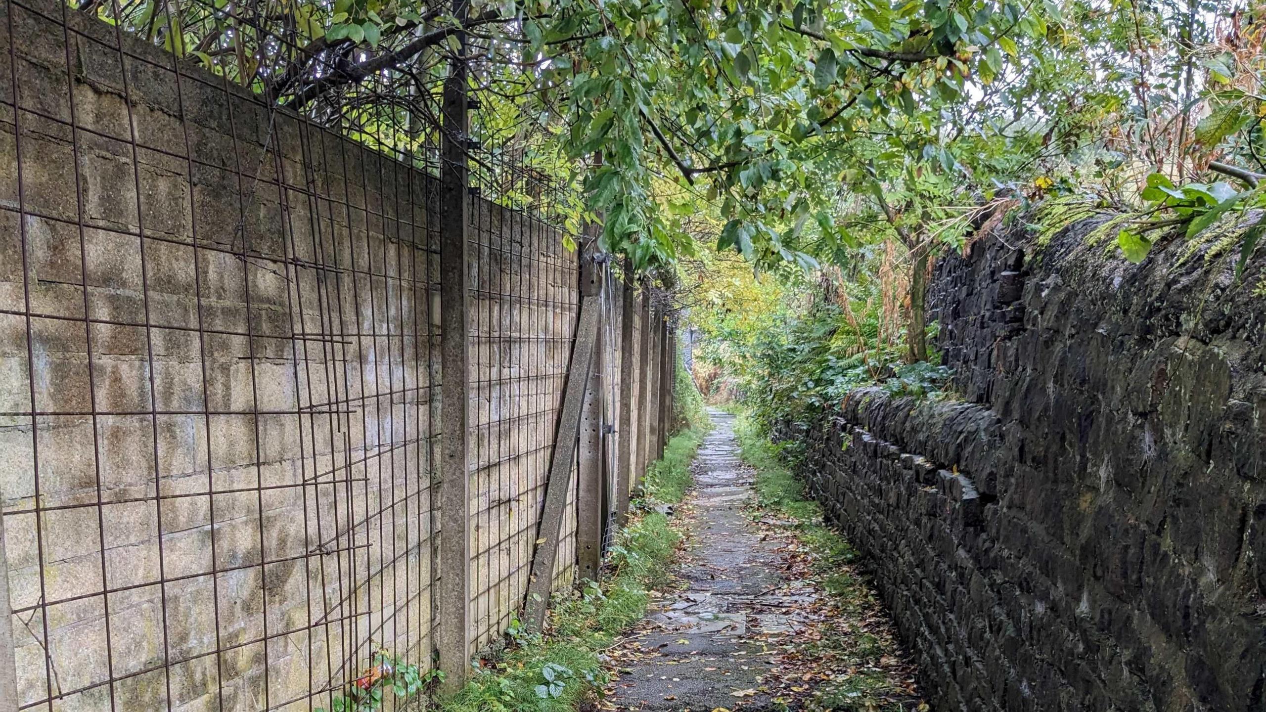 A leaf-coverage footpath with uneven patches of crumbling tarmac with a stone wall on one side and a concrete sectioned wall on the other with overgrown green foliage overhead. 