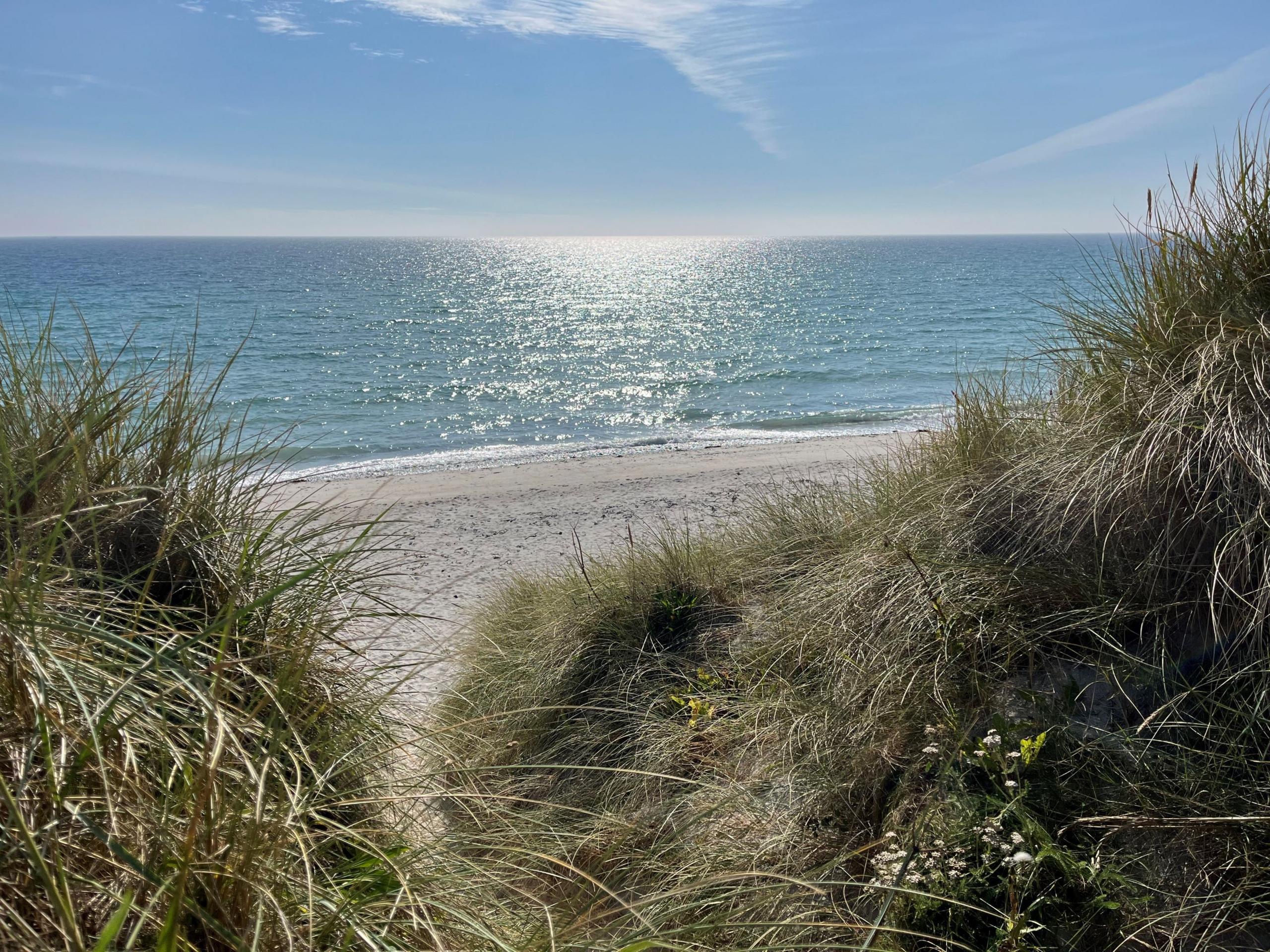 A shot looks through a gap in the long grass leading to Tresness beach, in Sanday, Orkney. Clean pale sand leads down to the water which is reflecting the sunshine.