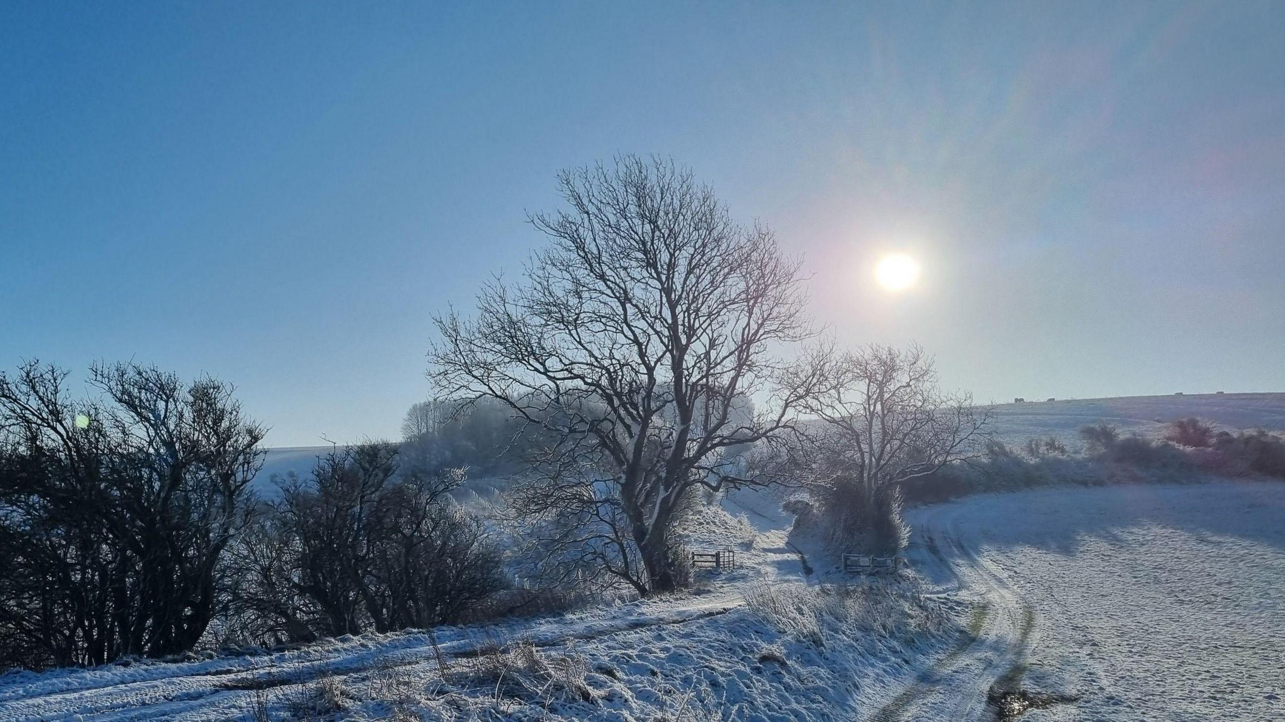 A scene overlooking trees, a field and a public footpath. The sun is shining and it appears to be around mid morning based on it's position in the sky, which is bright and blue. The whole scene is covered in snow and frost, and all the leaves have fallen off the trees.