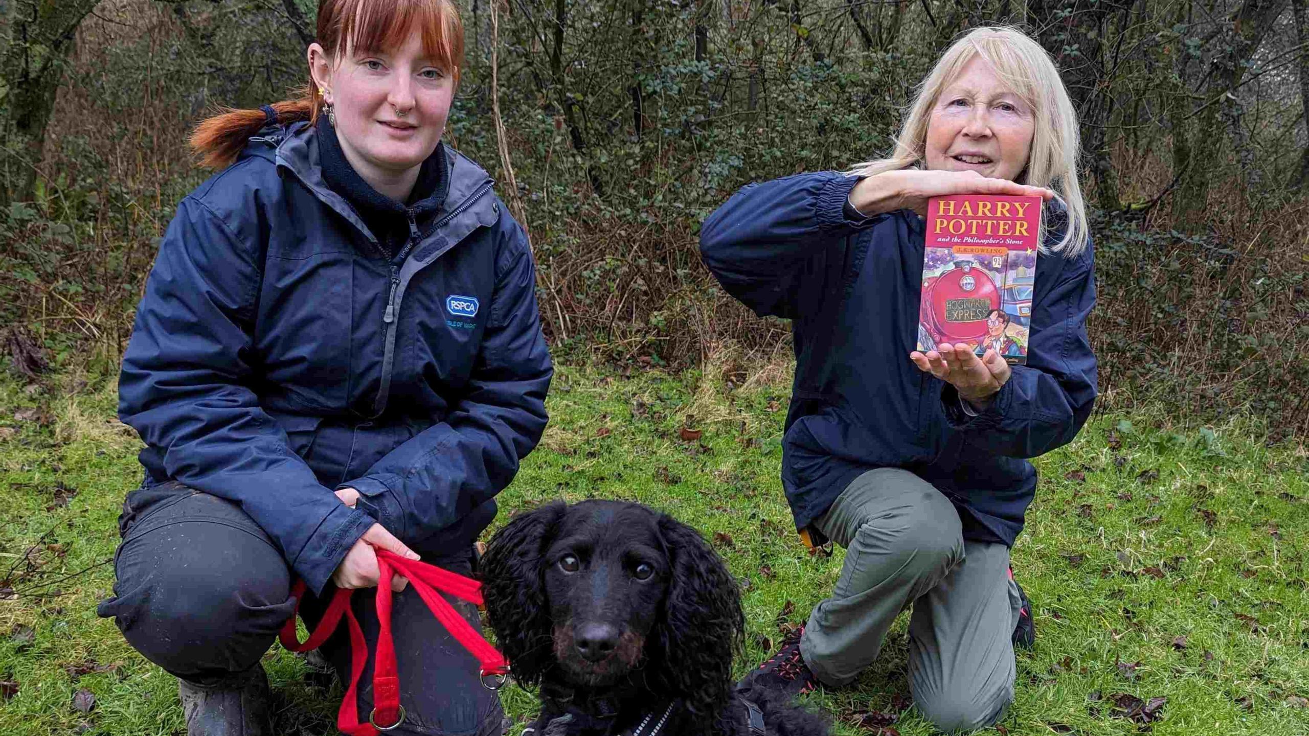 RSPCA animal care assistants with Harry the dog