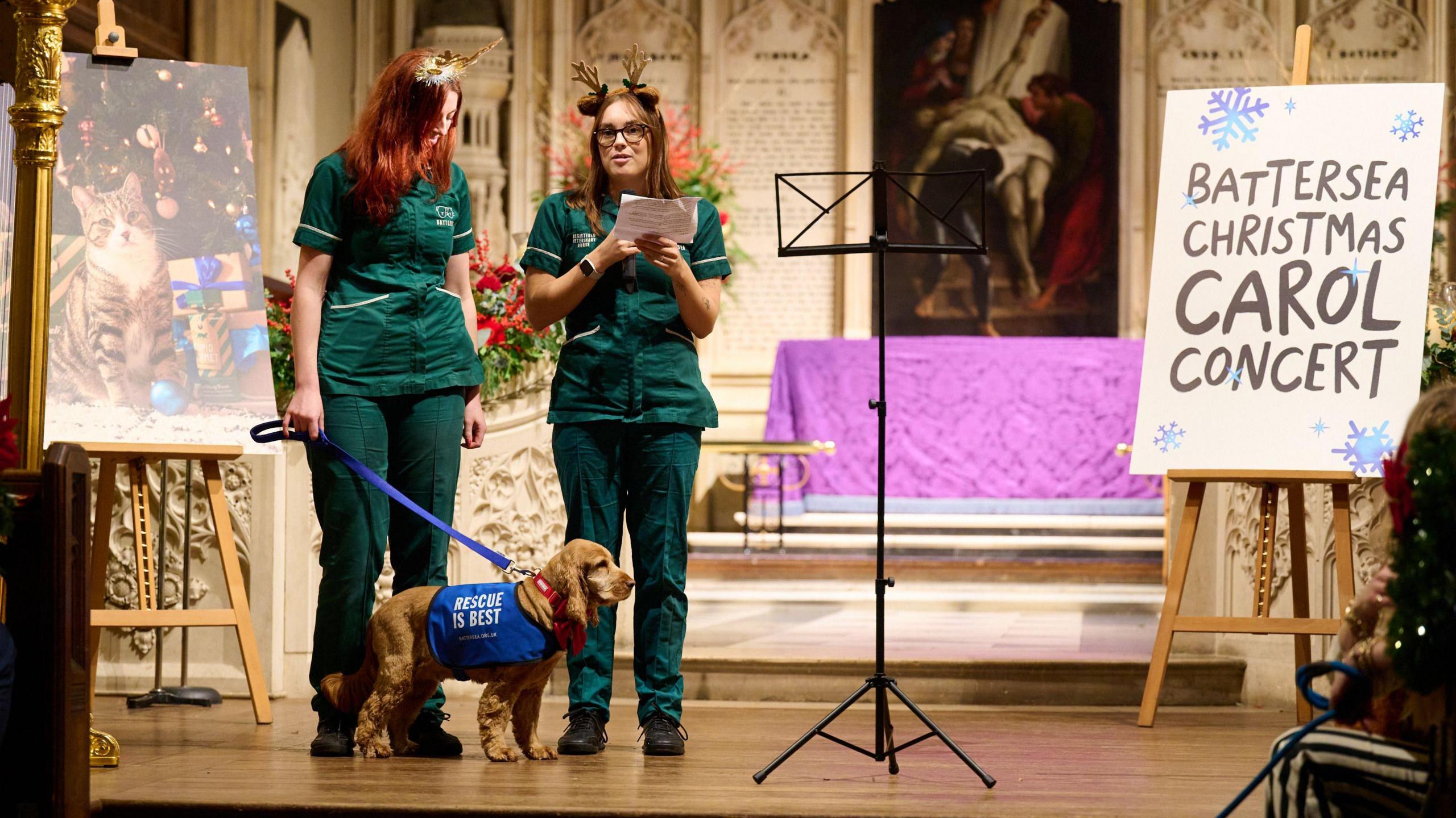 Battersea dogs at the carol concert in aid of Battersea Dogs home. 