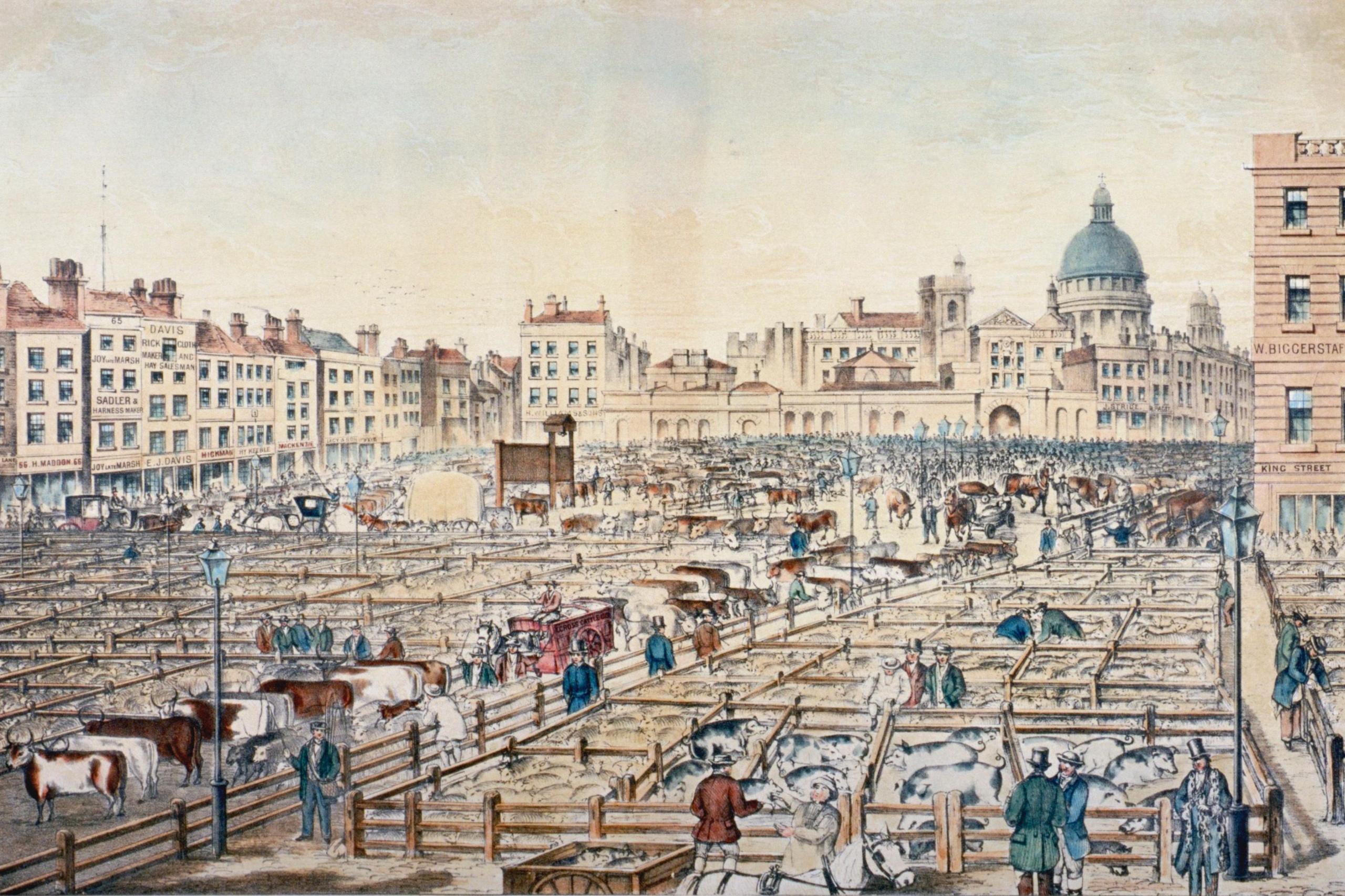 A drawing of Smithfield livestock market in 1811 showing animals in pens surrounded by buildings