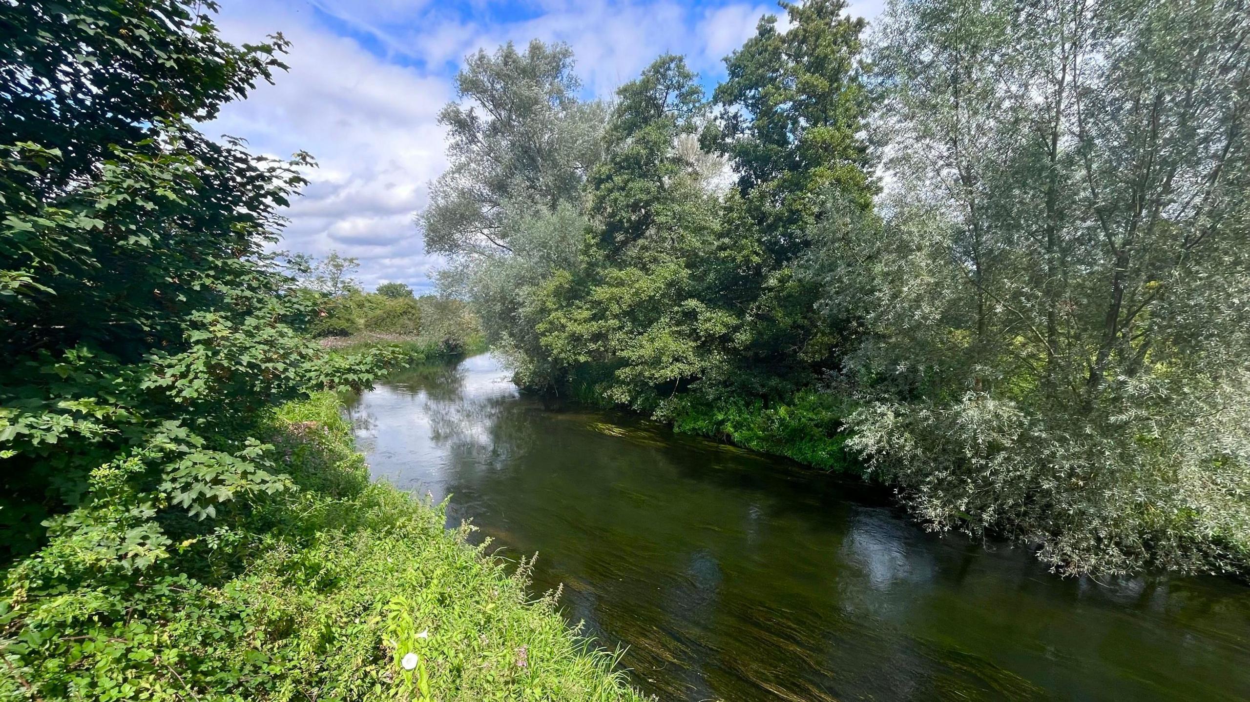 The River Wensum near Costessey