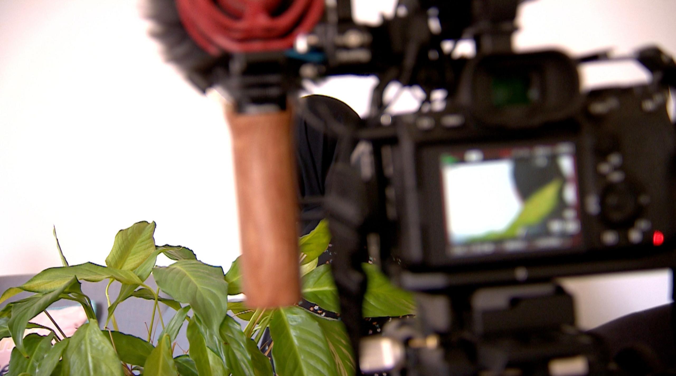 A woman wearing a black hijab is seen through a camera screen. Her head is turned away, so you can only see a blurred part of her face. The camera has lots of filming equipment attached to it and there is a green potted plant in the foreground. 