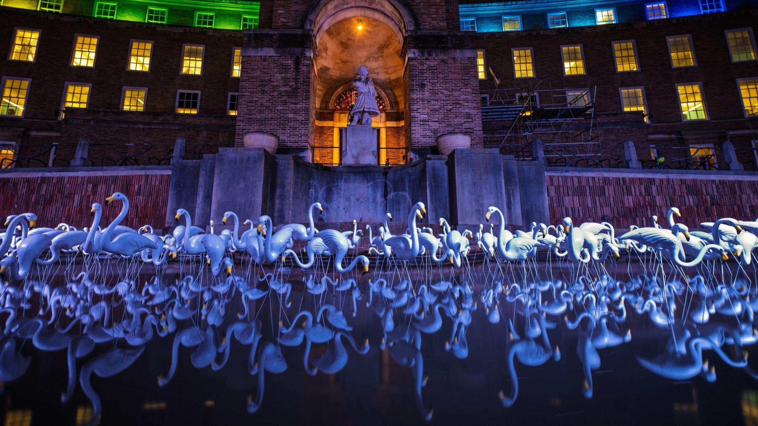 Hundreds of model flamingos are seen in the water in front of City Hall on College Green in Bristol. The picture is taken at night and the building behind the flamingos is lit up with purple, blue and green lights