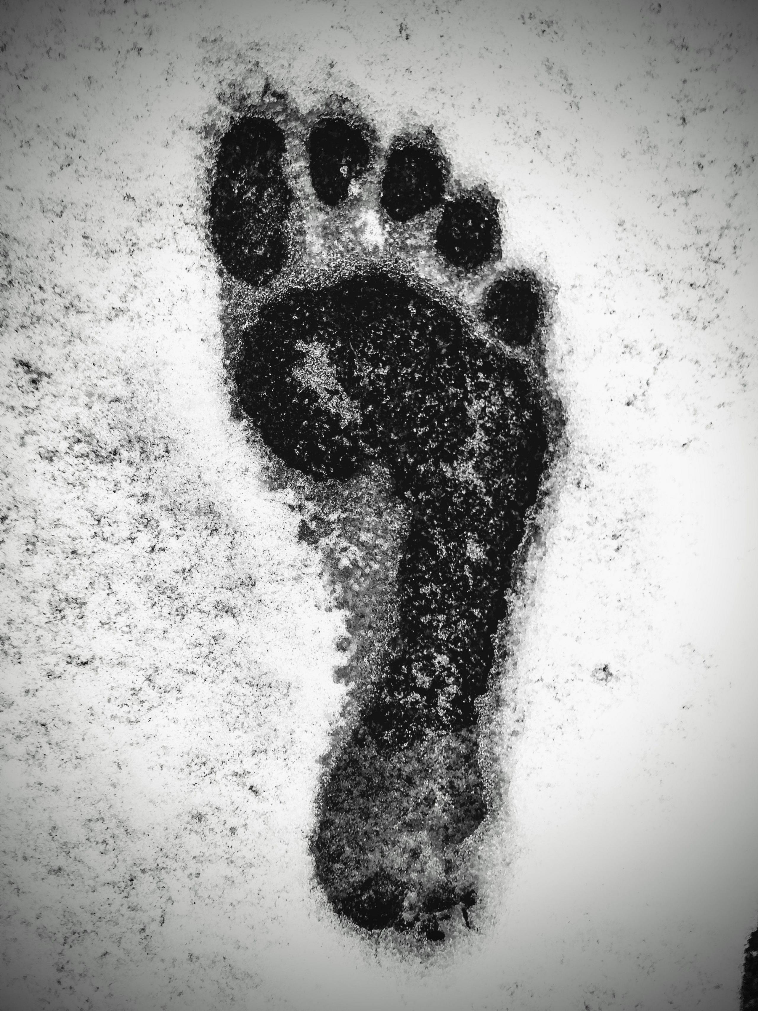 A monochrome picture of a man's bare footprint in snow.