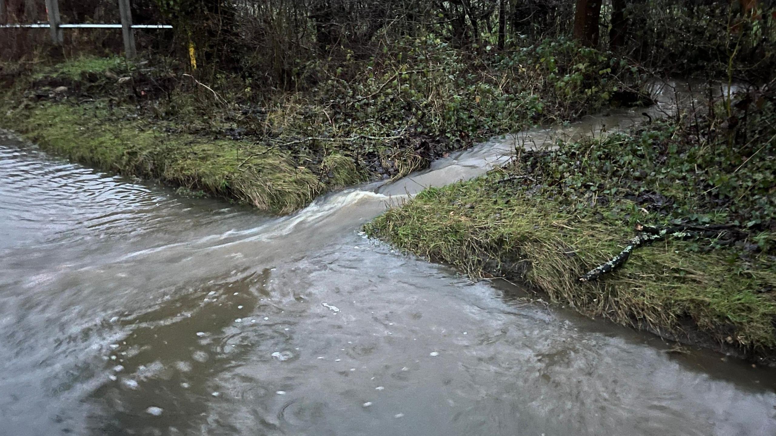 Water flowing from a field into a road through a hedge