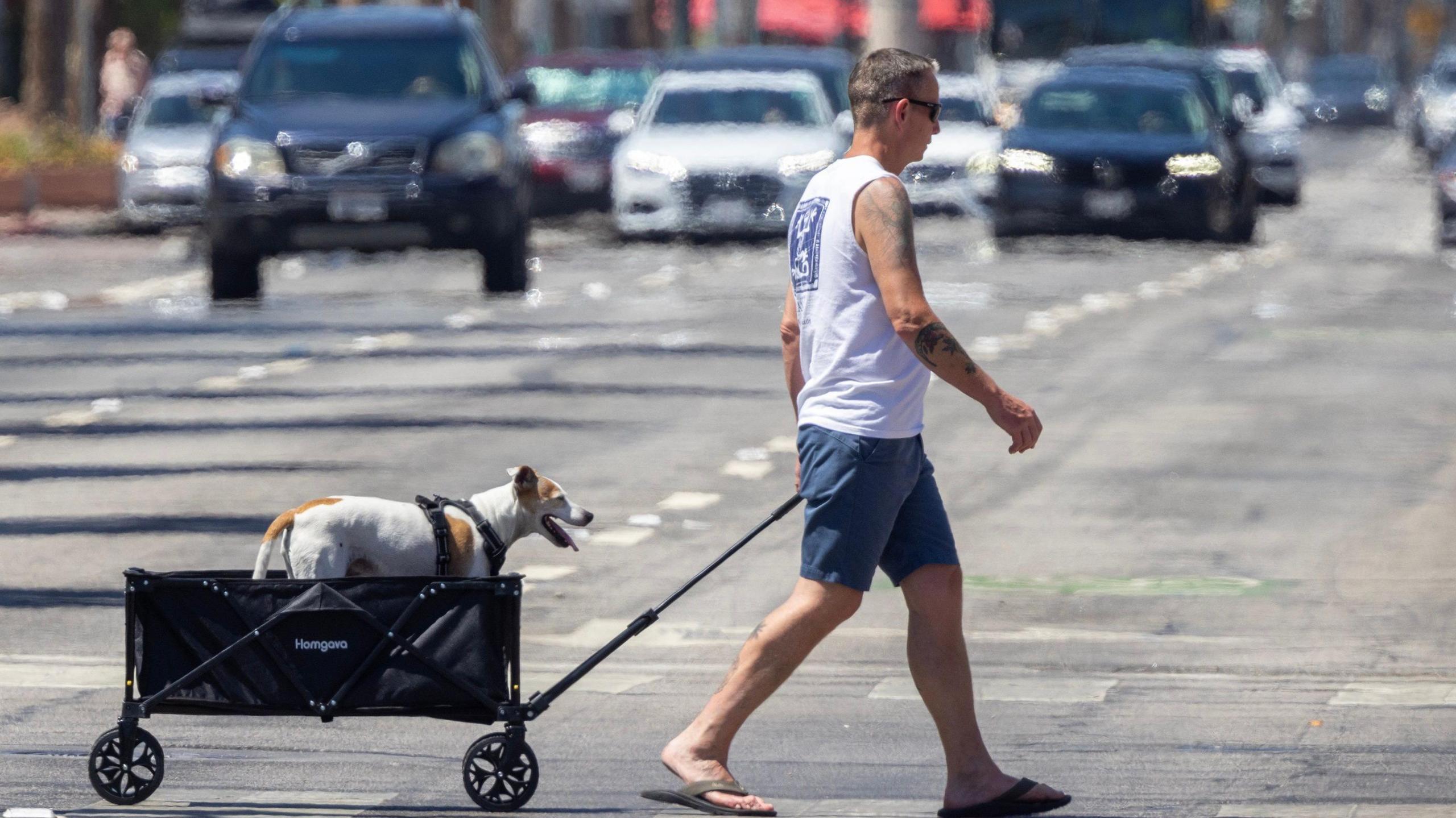 A man pulls a dog in a wagon across scorching-hot pavement on 5 July, 2024 in Palm Springs, California.