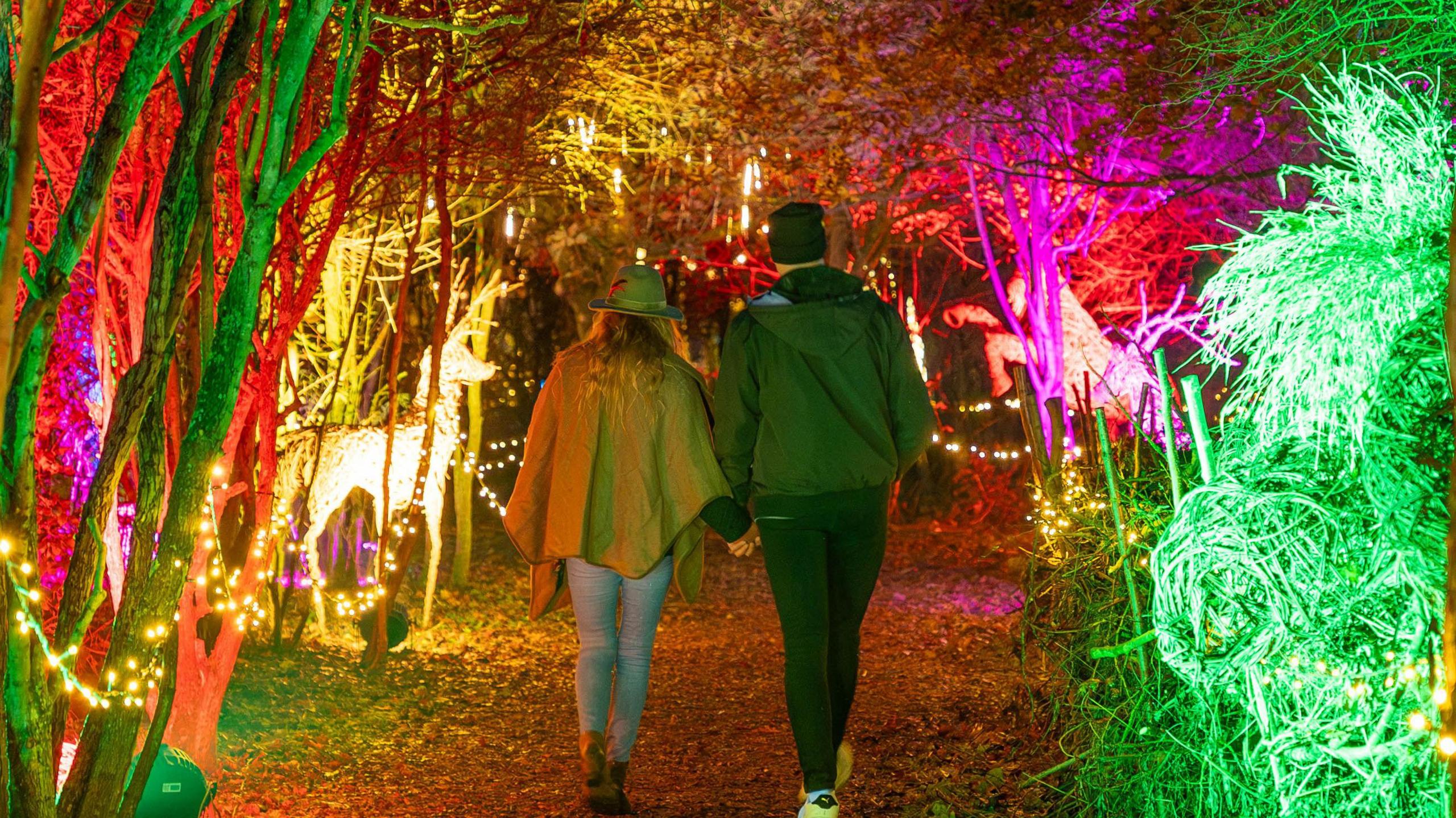 A couple walking holding hands on a lit pathway with trees on either side 