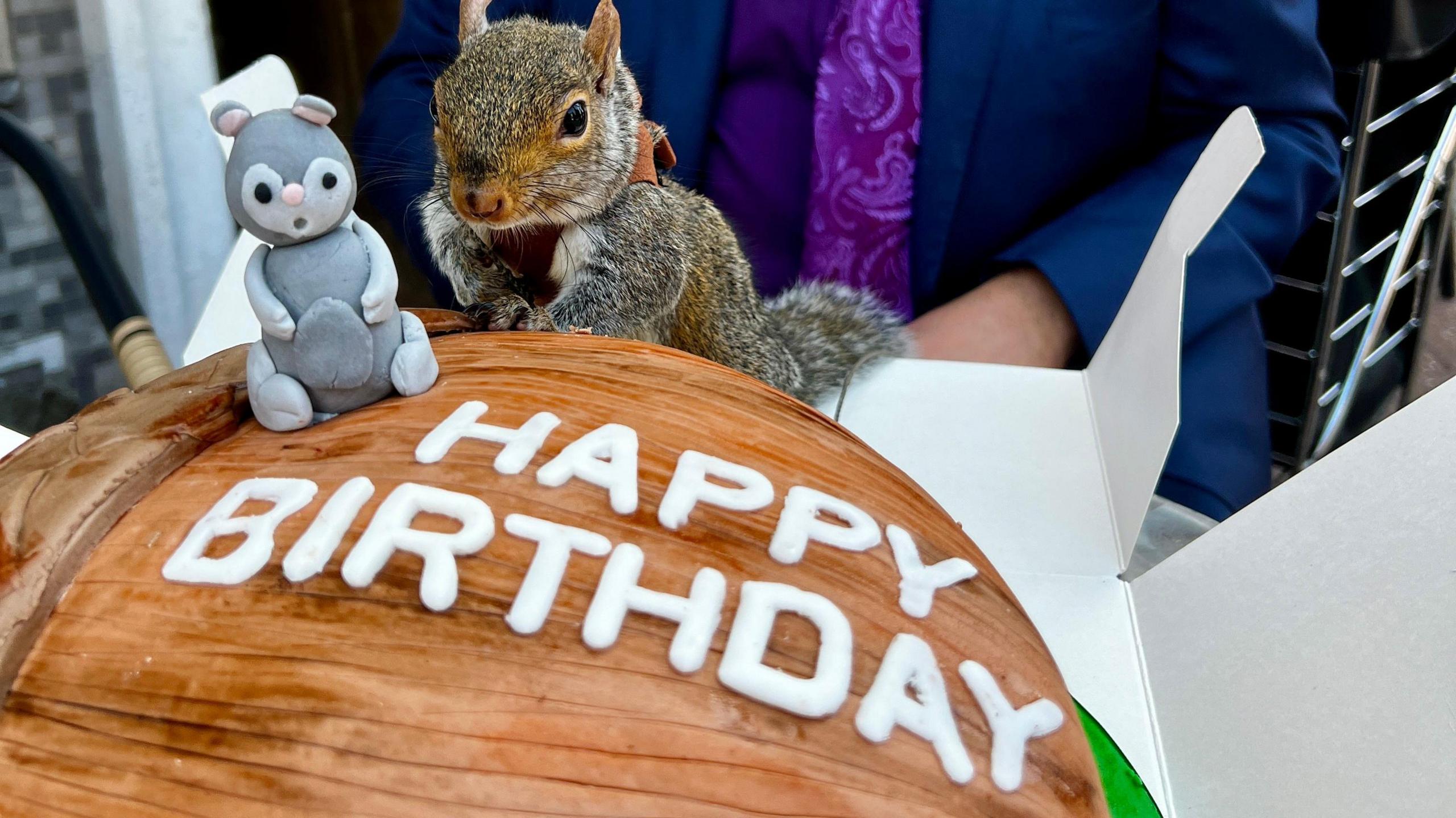 Alvin sits behind an acorn cake saying "Happy Birthday"