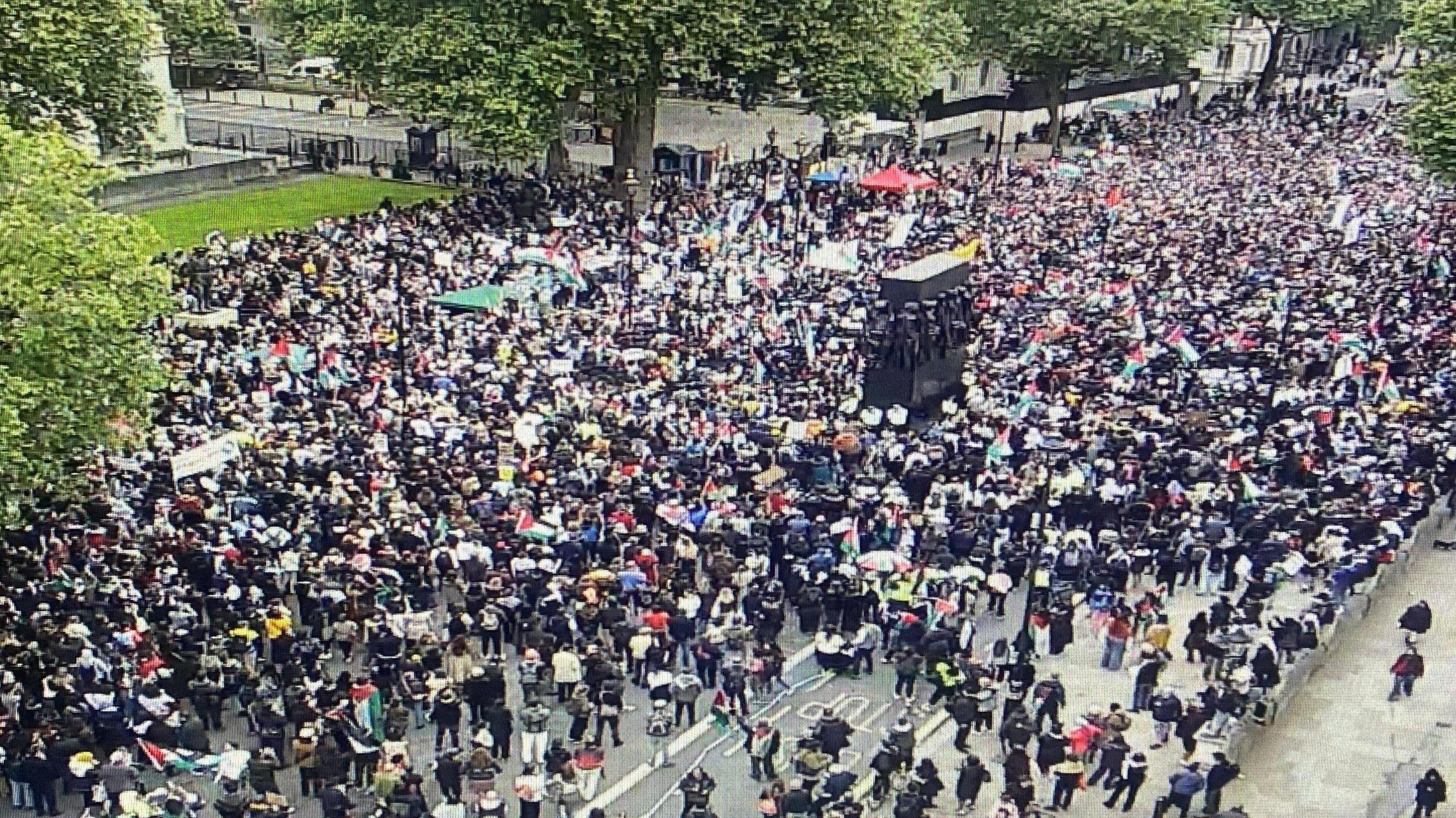 A far-away still taken of a crowd of protesters gathering in Whitehall 