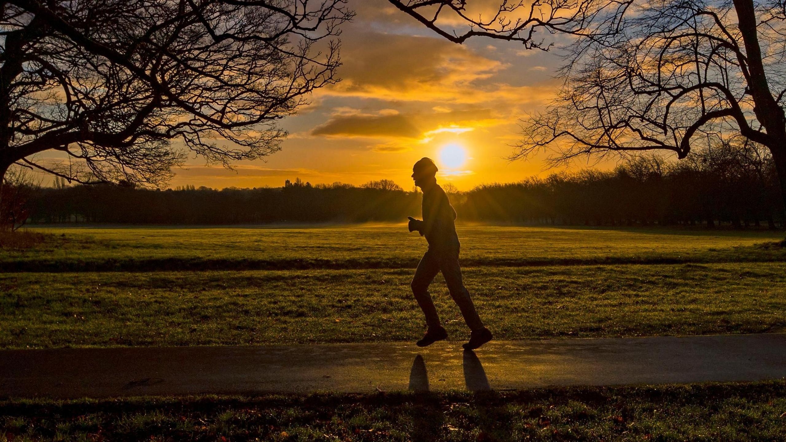A jogger running in a park during sunrise, silhoutted against the rising sun as they run between trees