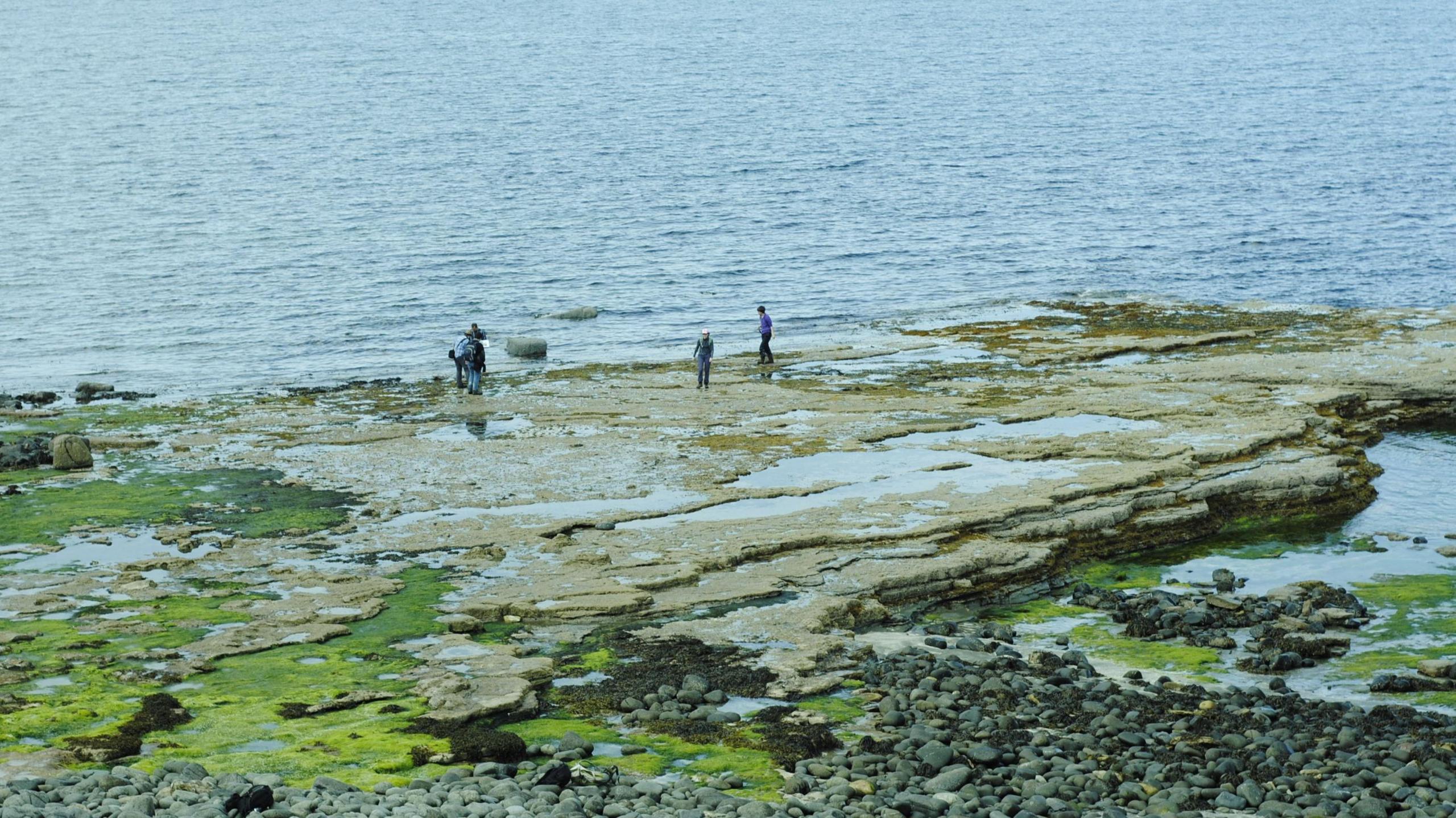 Palaeontologists on Skye