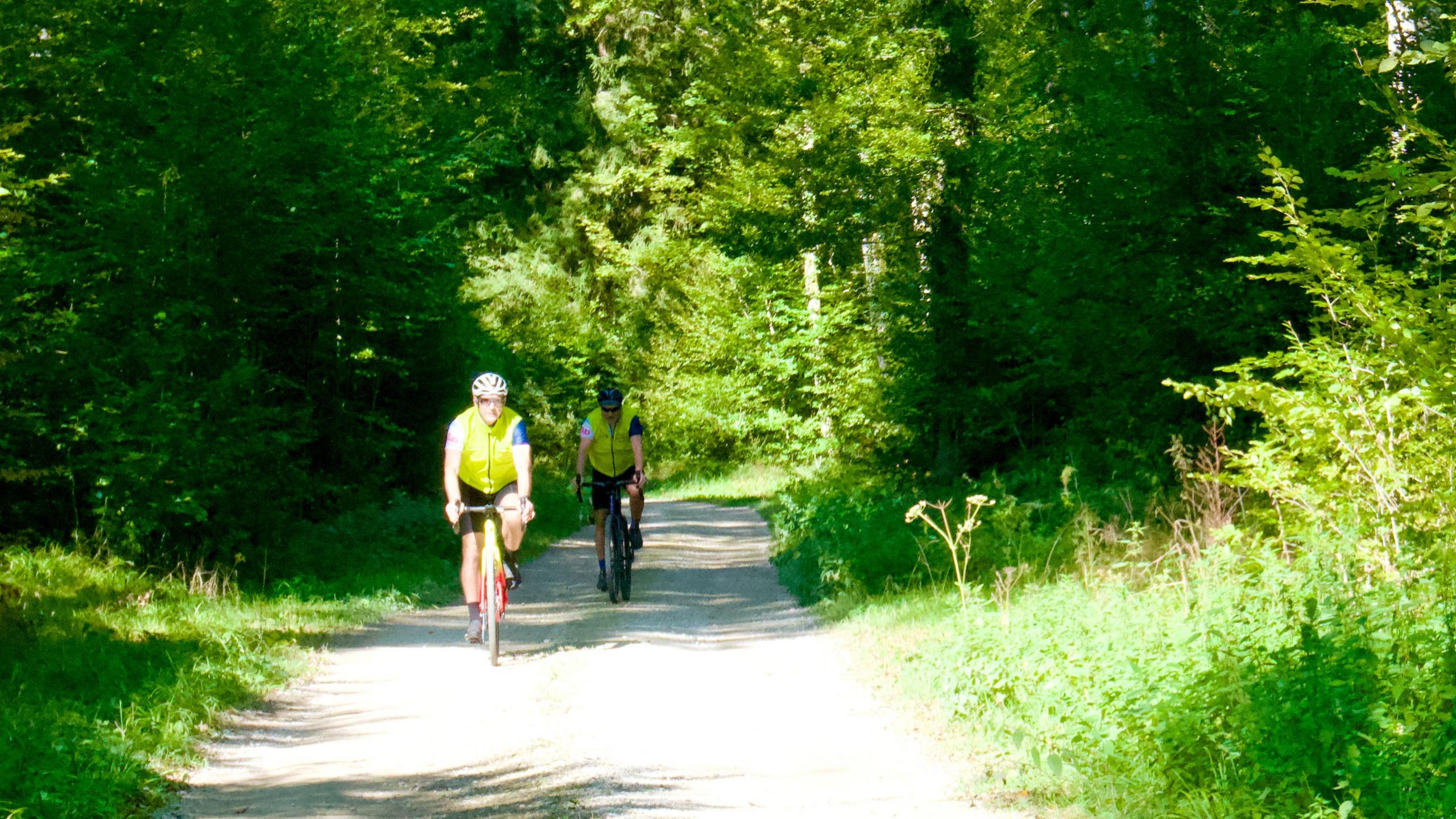 Two cyclists on a country path surrounded by green trees, with sunshine coming through the canopy