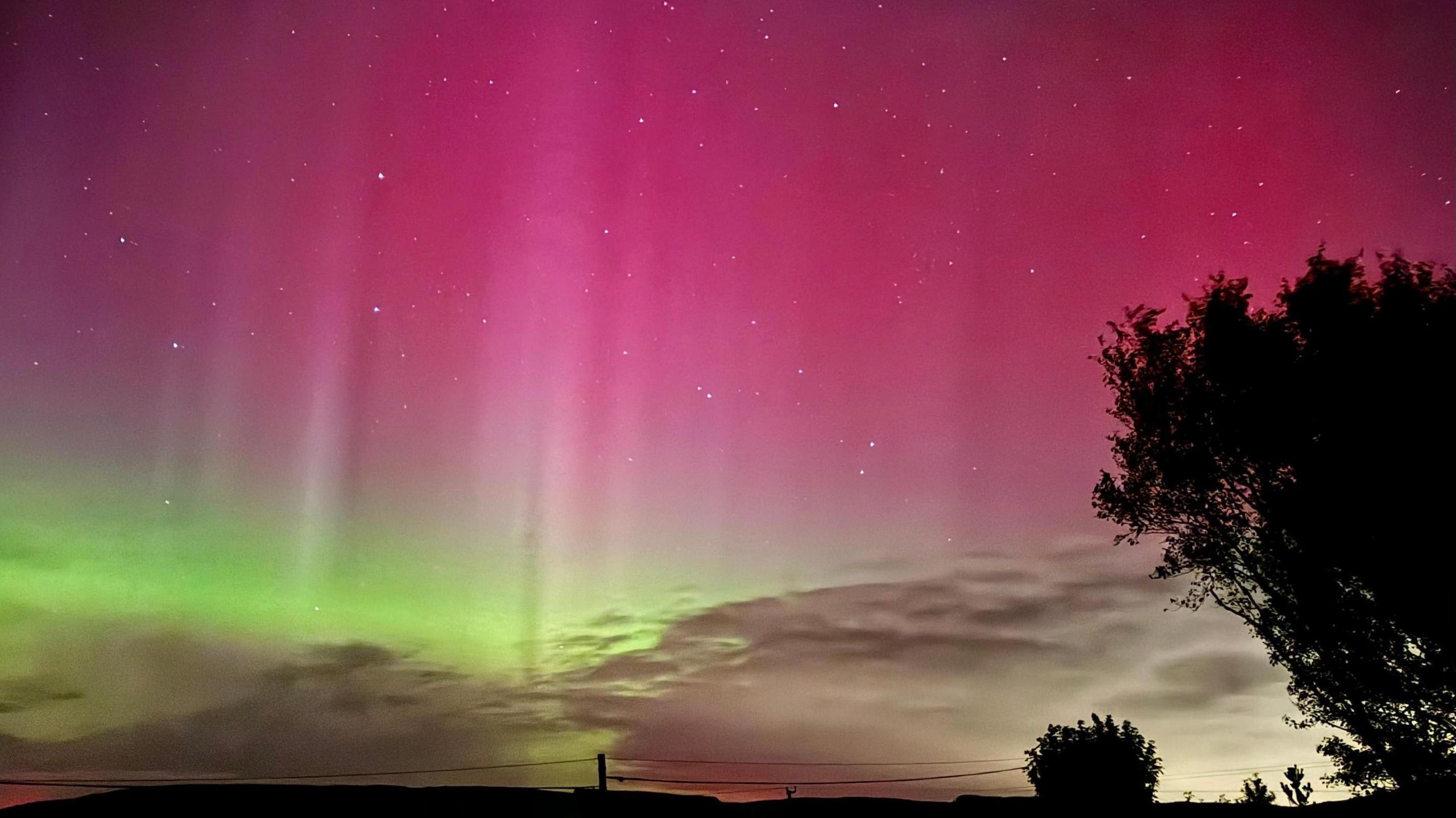 A predominantly pink blend of the northern lights, a silhouette of a tree is to the right of the frame, a telephone wire runs along the bottom of the shot 