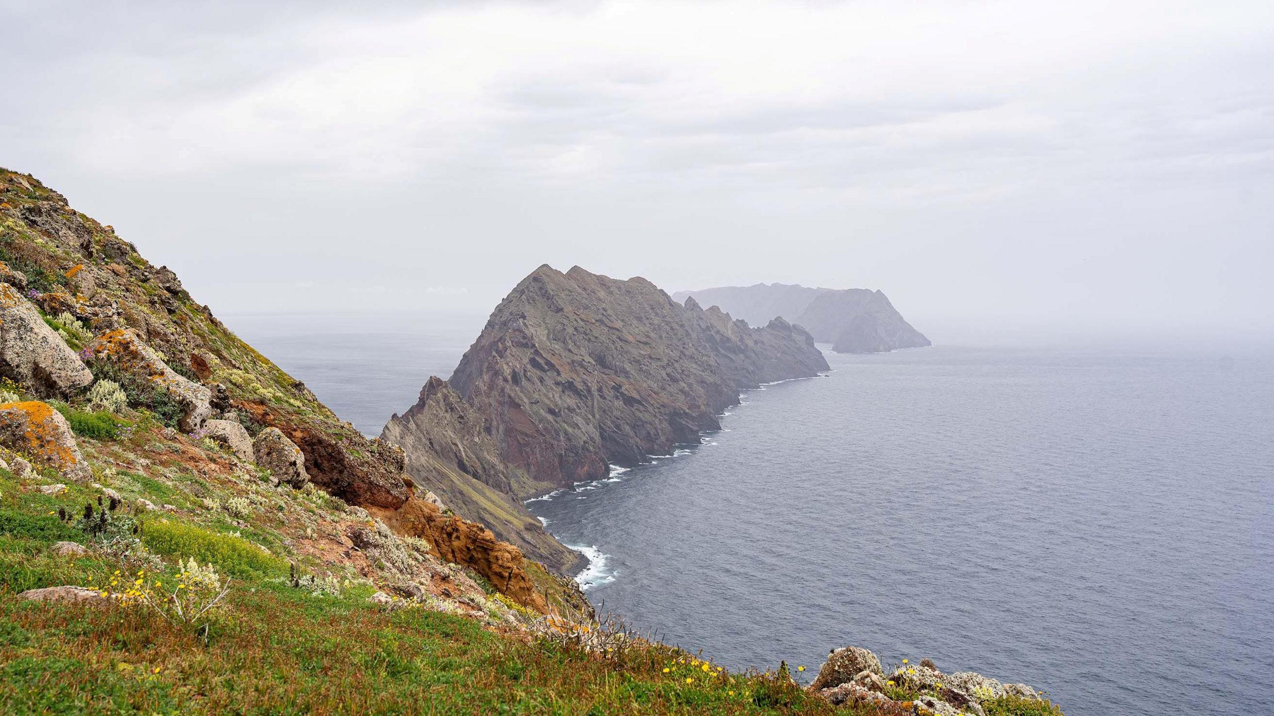 An island in the sea. It is mainly rocky with some grass and plants growing on it.
