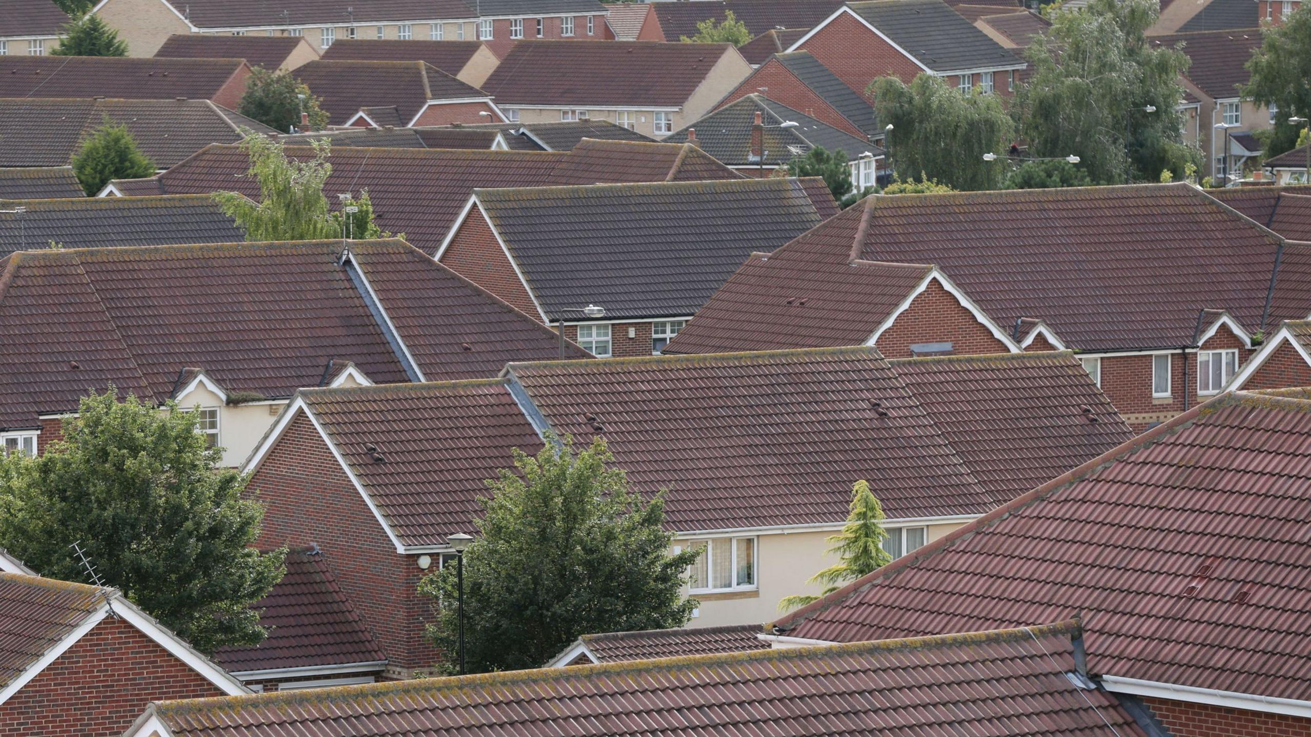 Roof top view of housing estate, with many homes next to each other with two trees in between