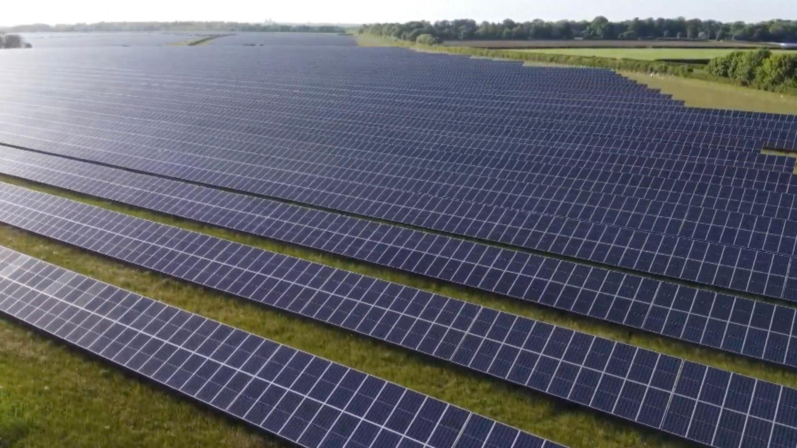Dozens of rows of solar panels in a field