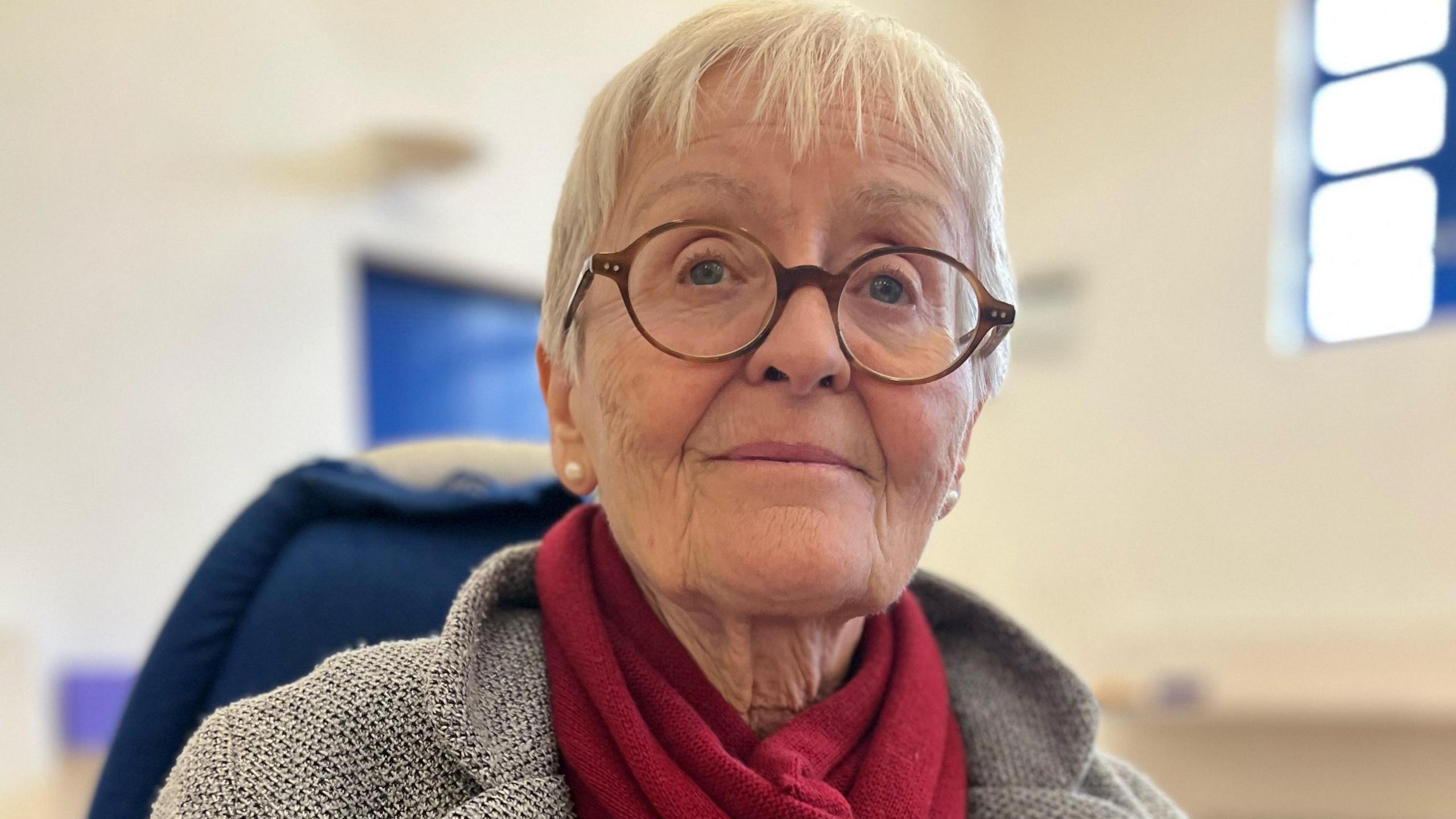 Image of Carole Donaghy, a woman with short grey hair wearing glasses, a grey blazer and red scarf and sat in a community hall