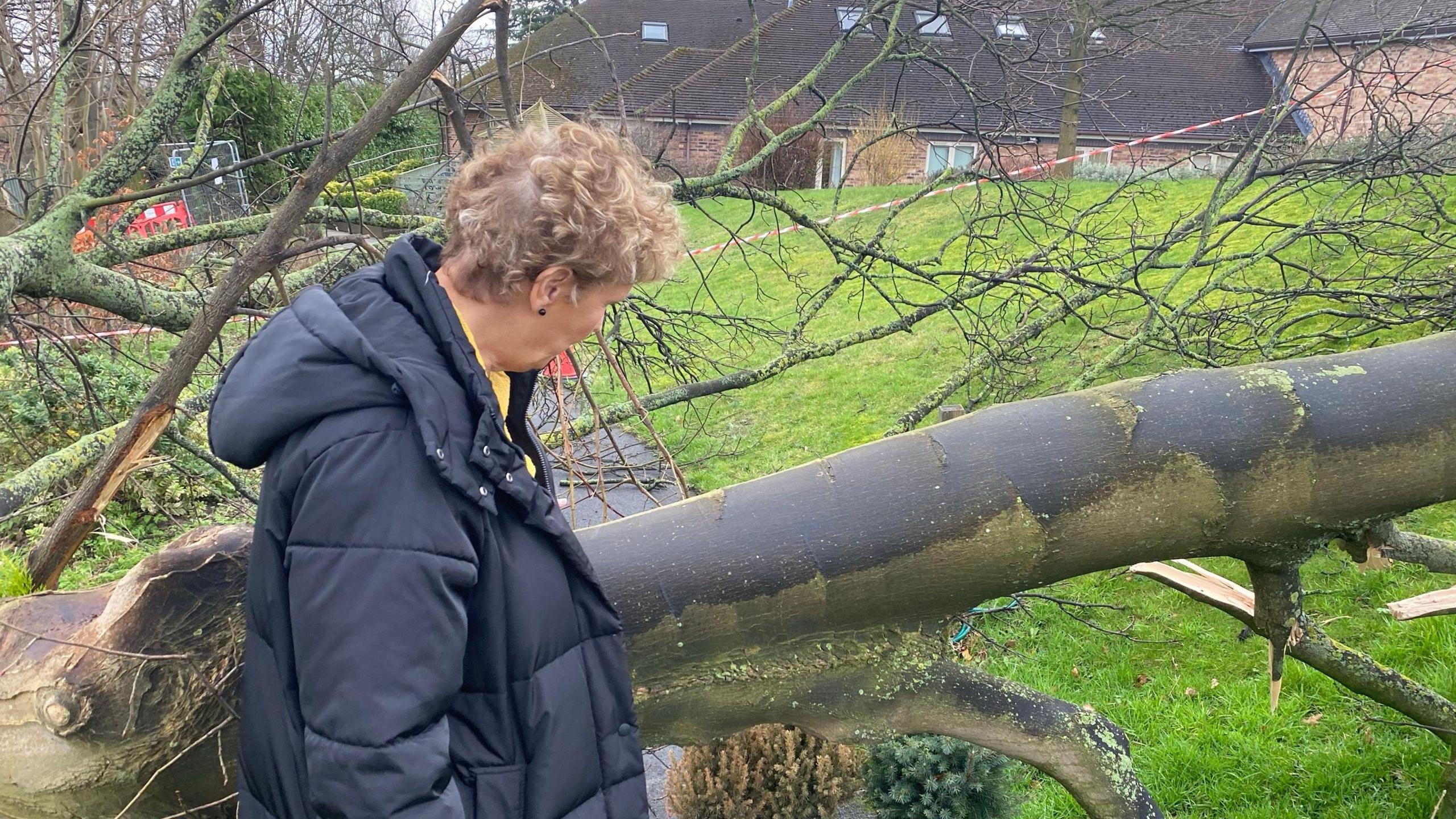 Helen Knowles with the felled tree outside Wakefield Hospice