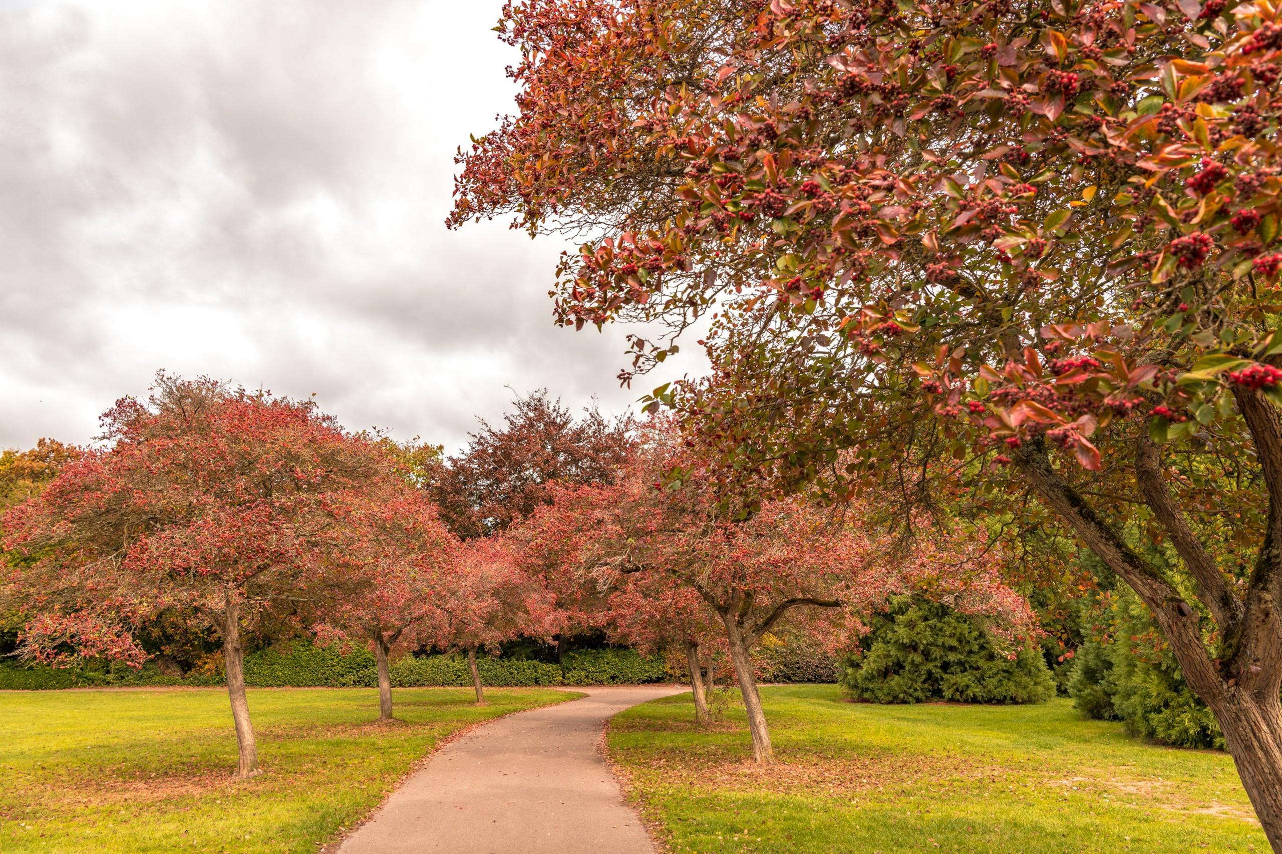 A cloudy day in Florence Park in Cowley