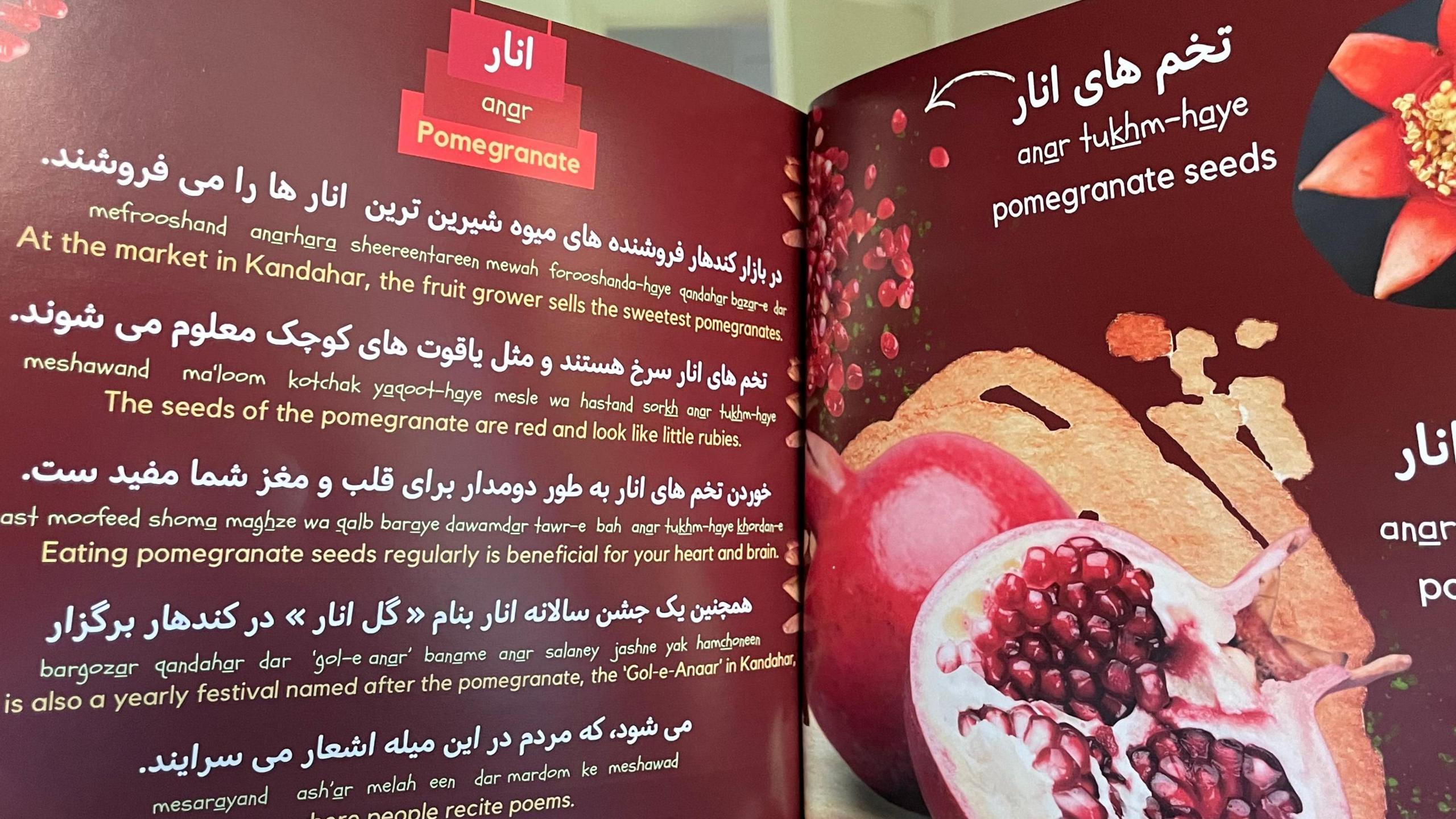 This page shows a picture of a pomegranate with phrases about the fruit