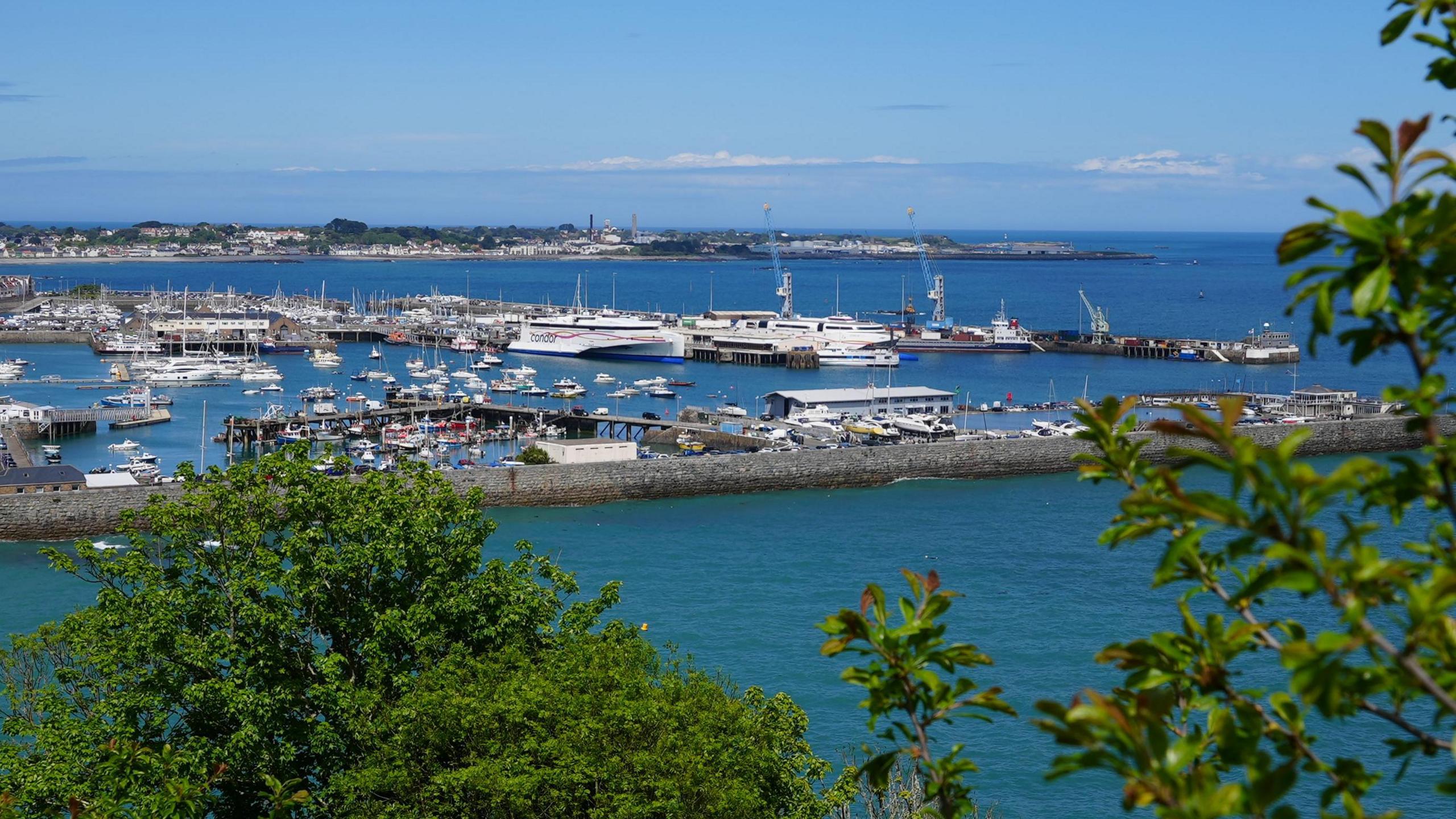 A distant shot of St Peter Port harbour with Condor ferry berthed. There are different sized vessels on the water and branches with green leaves near the lens on the right, as well as a tree on the left. 