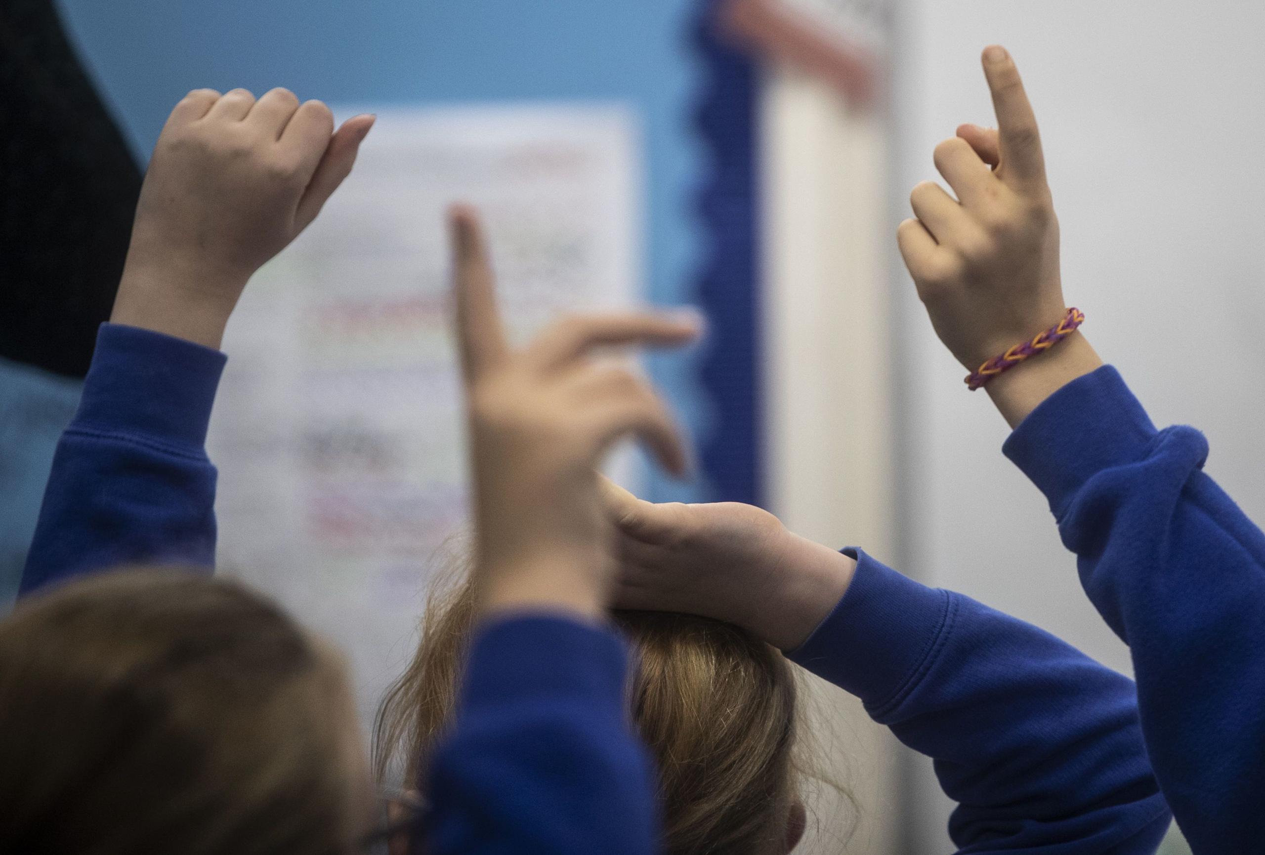 Young schoolchildren in blue sweatshirts raising their hands in class. One of them is wearing a loom band bracelet