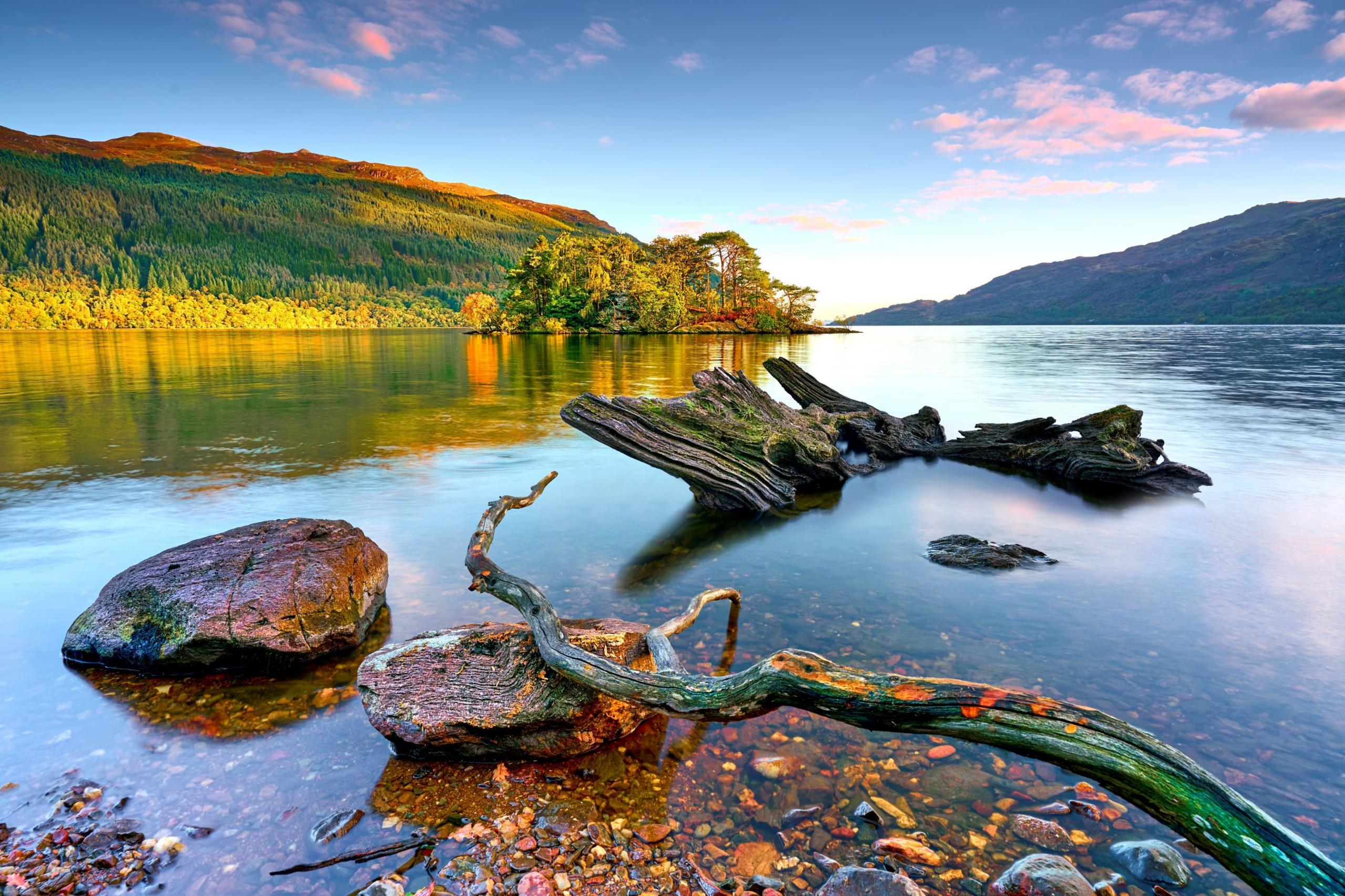 A colourful view from the water of Loch Lomond, with some boulders and tree branches in the foreground, and the loch stretching beyond, with tree-covered hills on both sides. The sun shines on one of the hills, the green trees shining a bright green in the light.