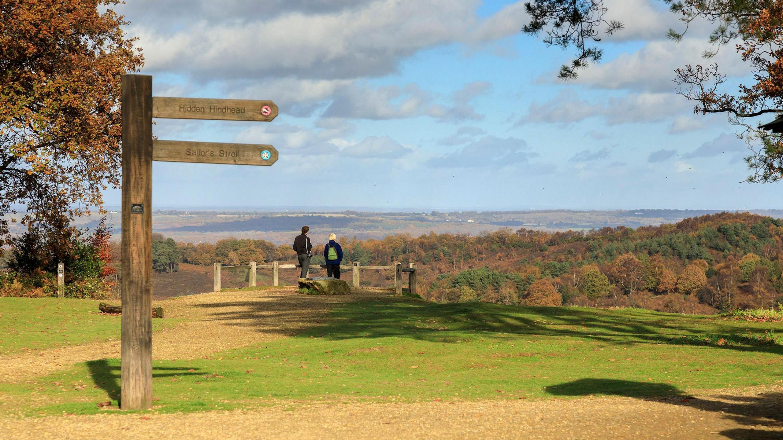 Two people overlooking a national park. There is green grass and then a large area of trees in the distance. 