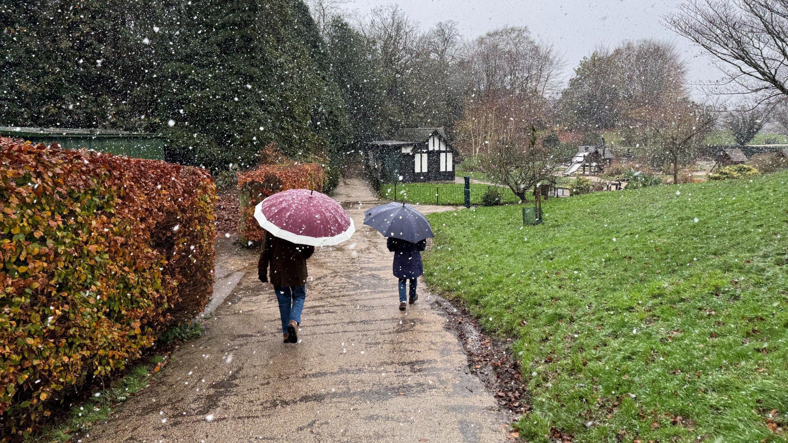 People walking through Calverley Park in Tunbridge Wells holding umbrellas as snow falls around them.