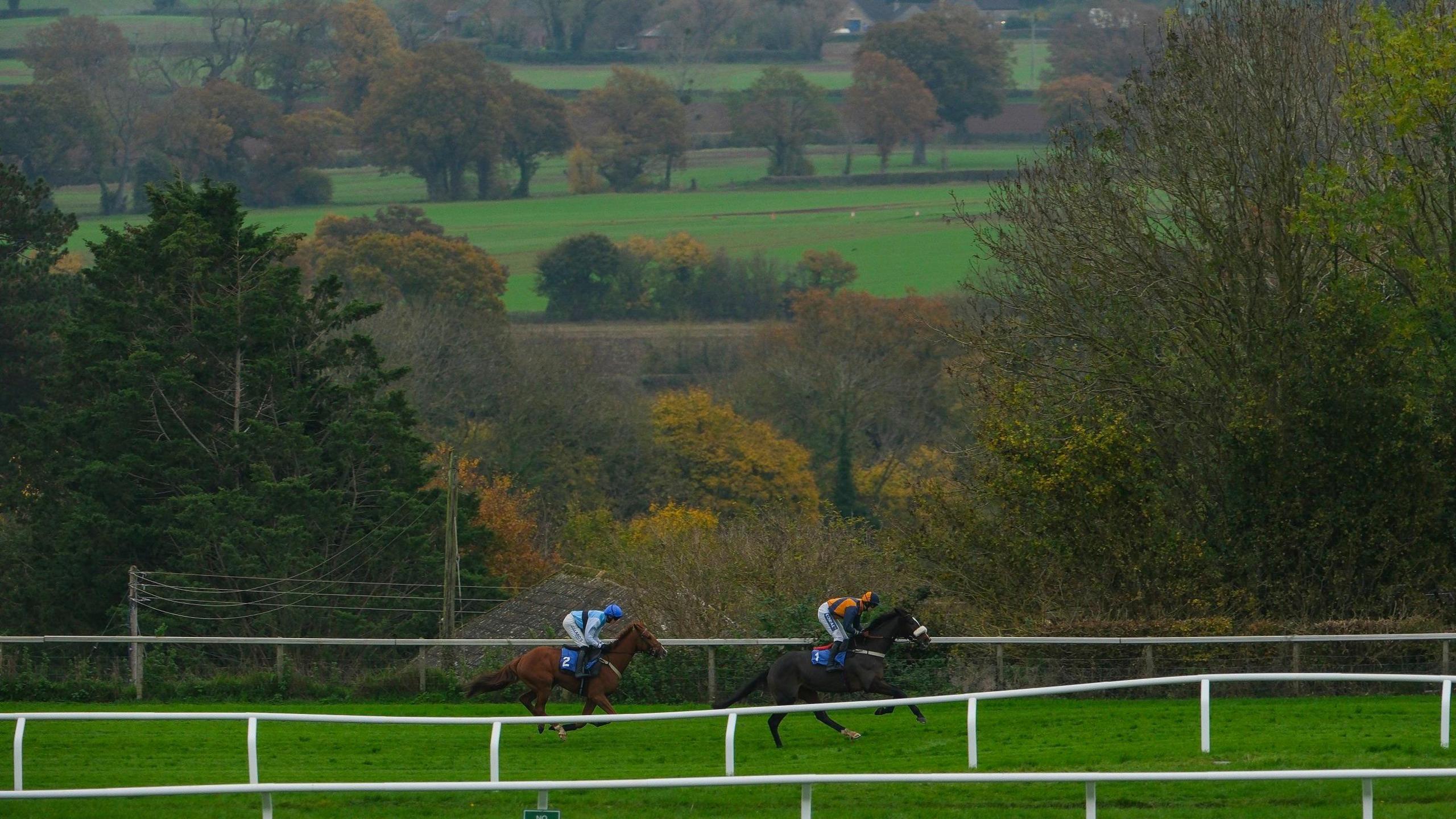 Two jockeys ride their horses down the back straight at Taunton Racecourse. White fences are visible either side of the track, and in the background fields and trees with autumn colours in their leaves can also be seen