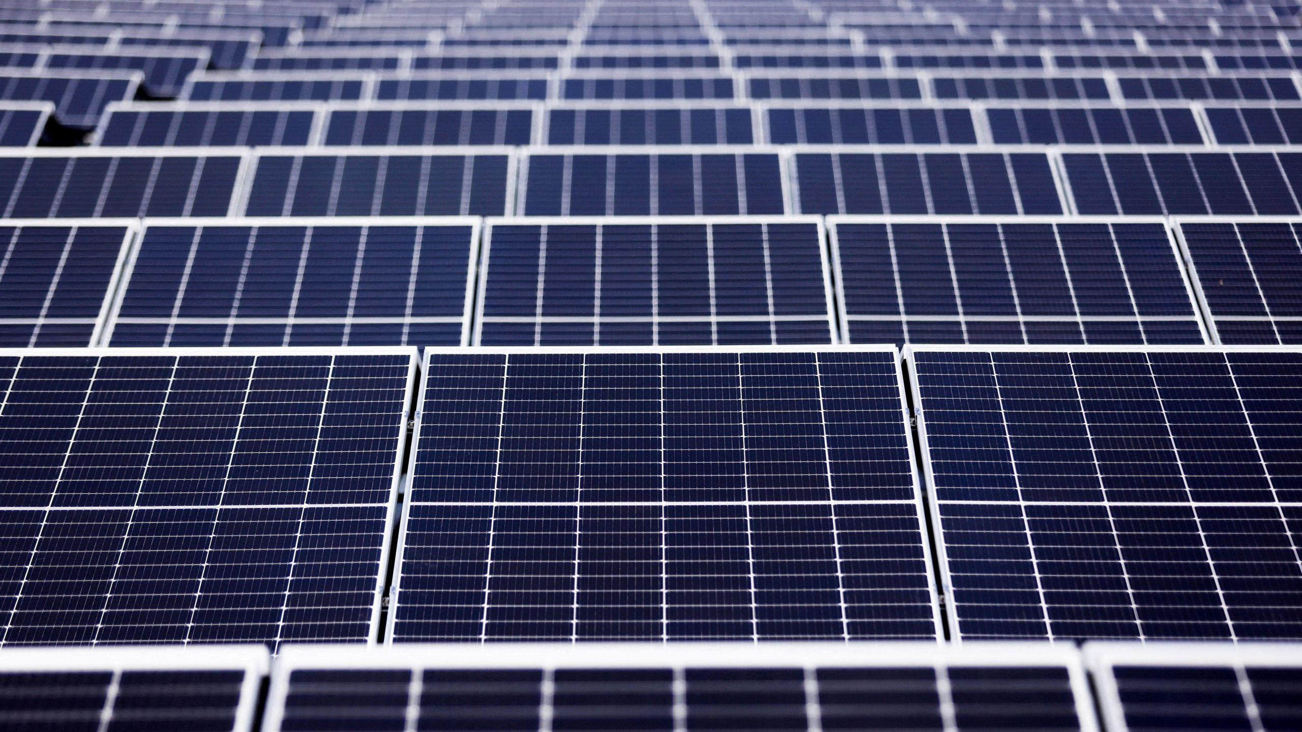 Large rows of blue and silver solar panels.