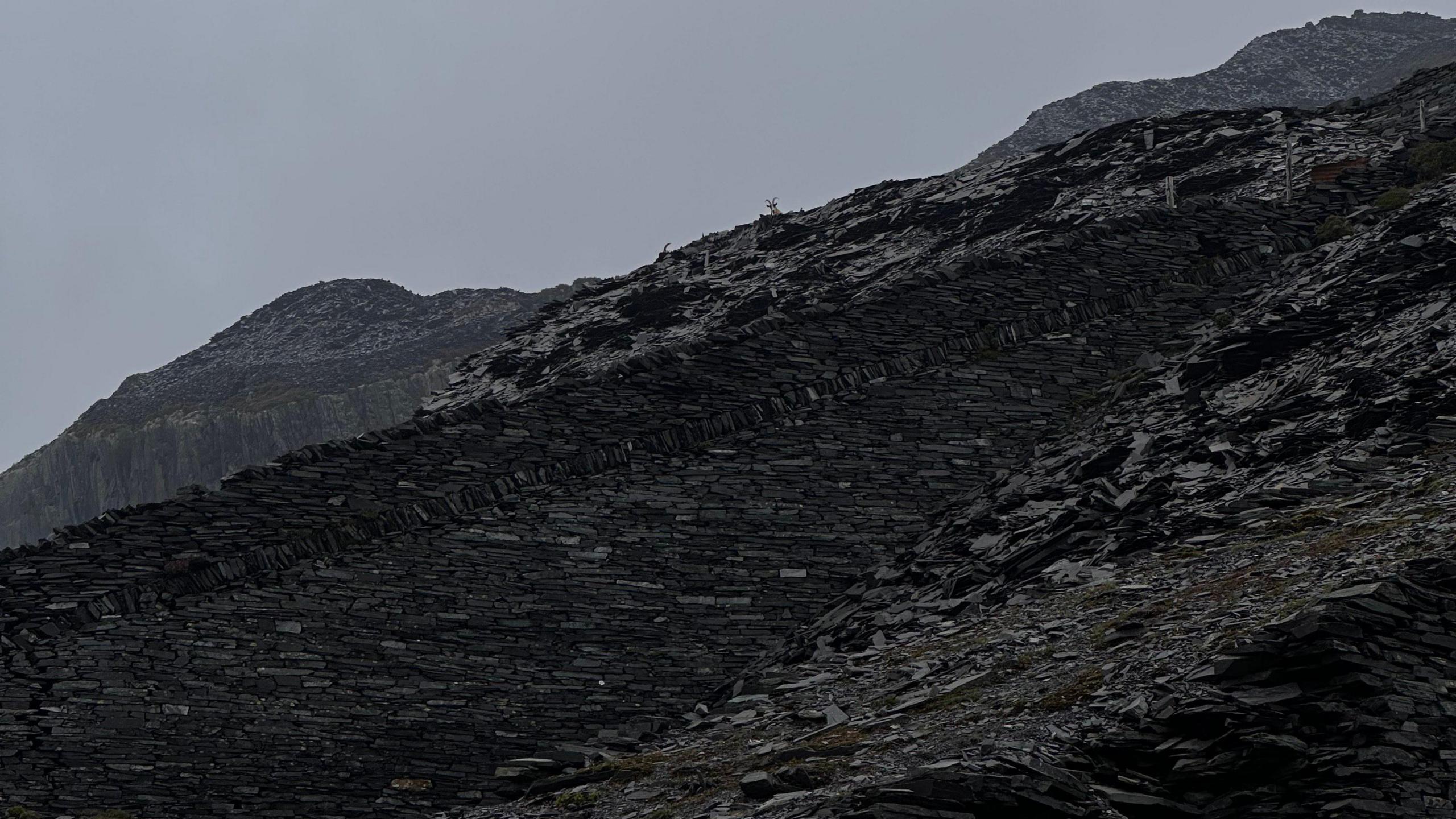 A slate wall, in a dark slate black, runs up the side of a steep mountainside, with streaks of grey and mottled black stone on either side.