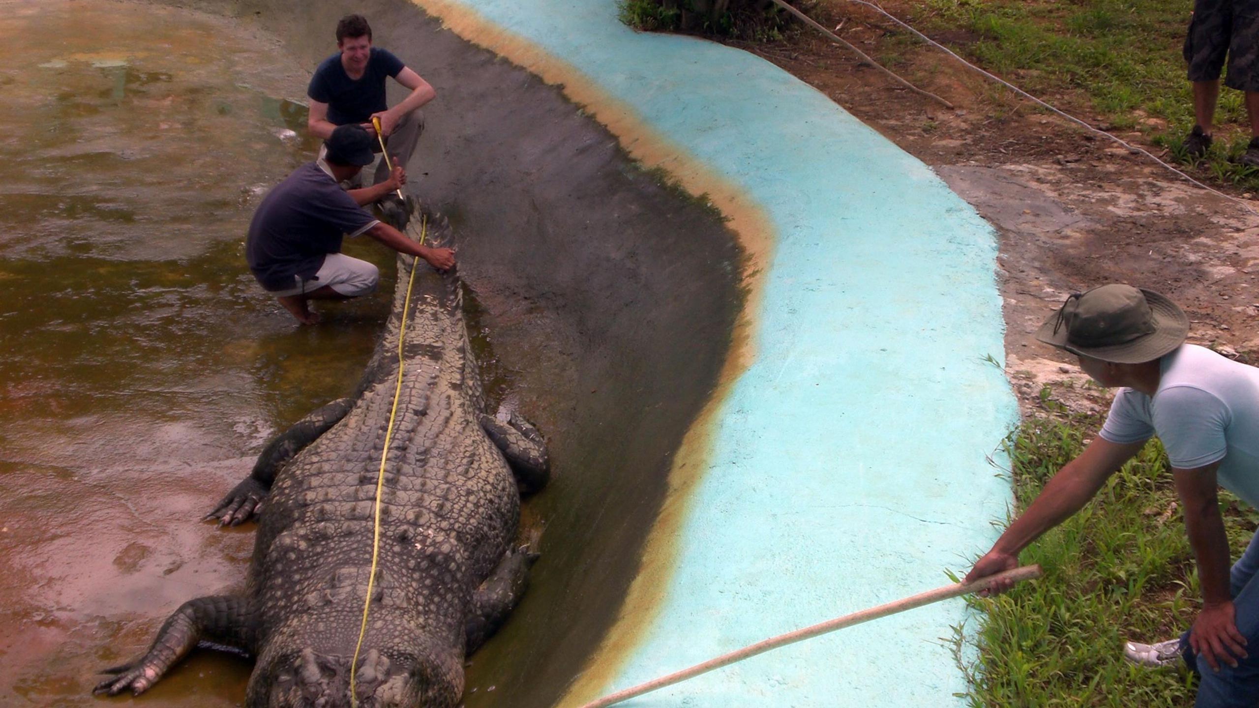 Britton pictured helping measure Lolong the crocodile in Bunawan town