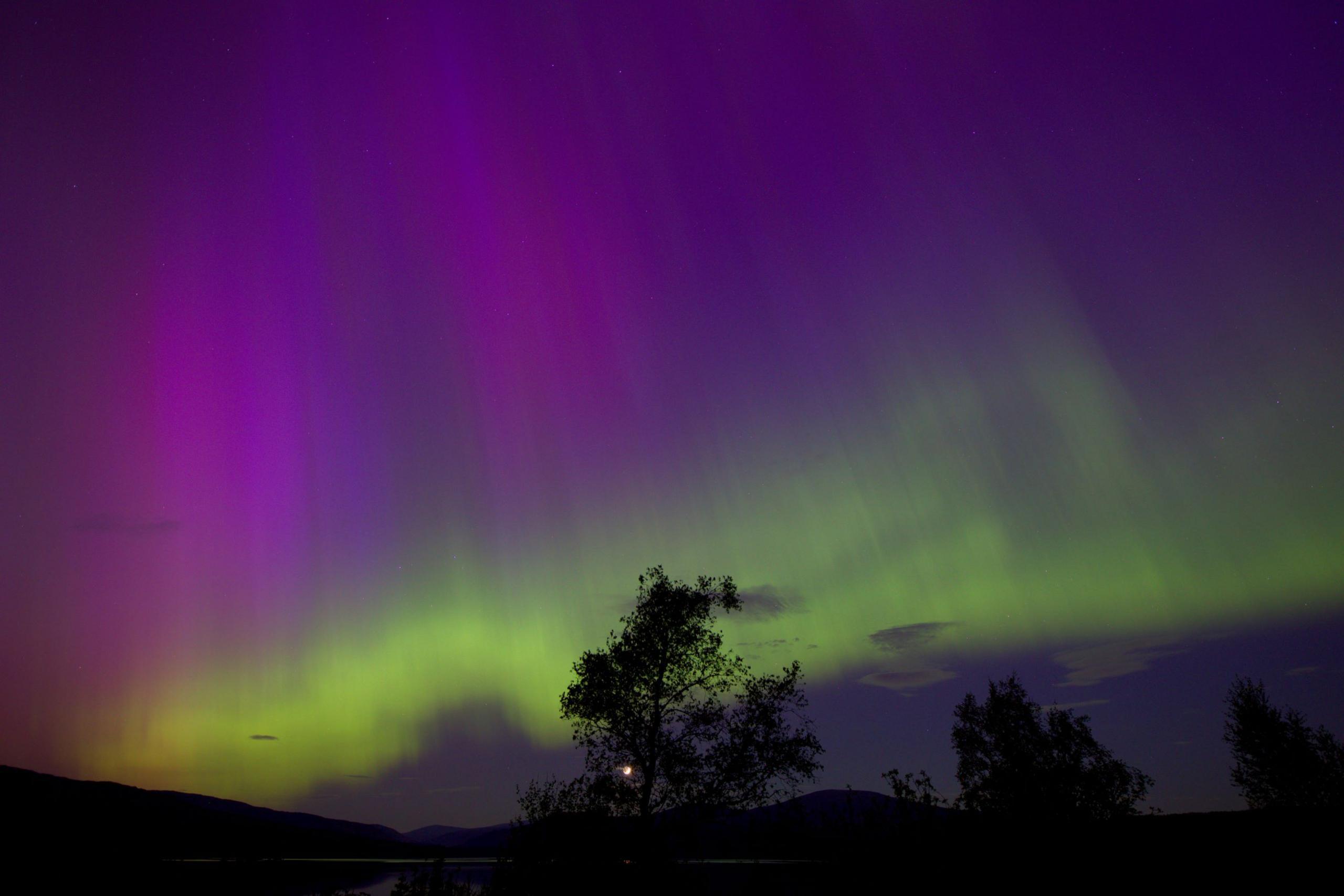 A colourful sky over Galloway with hints of purple, green and dark blue and the silhouette of a tree